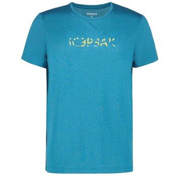 Icepeak  T-Shirt Bearden günstig online kaufen