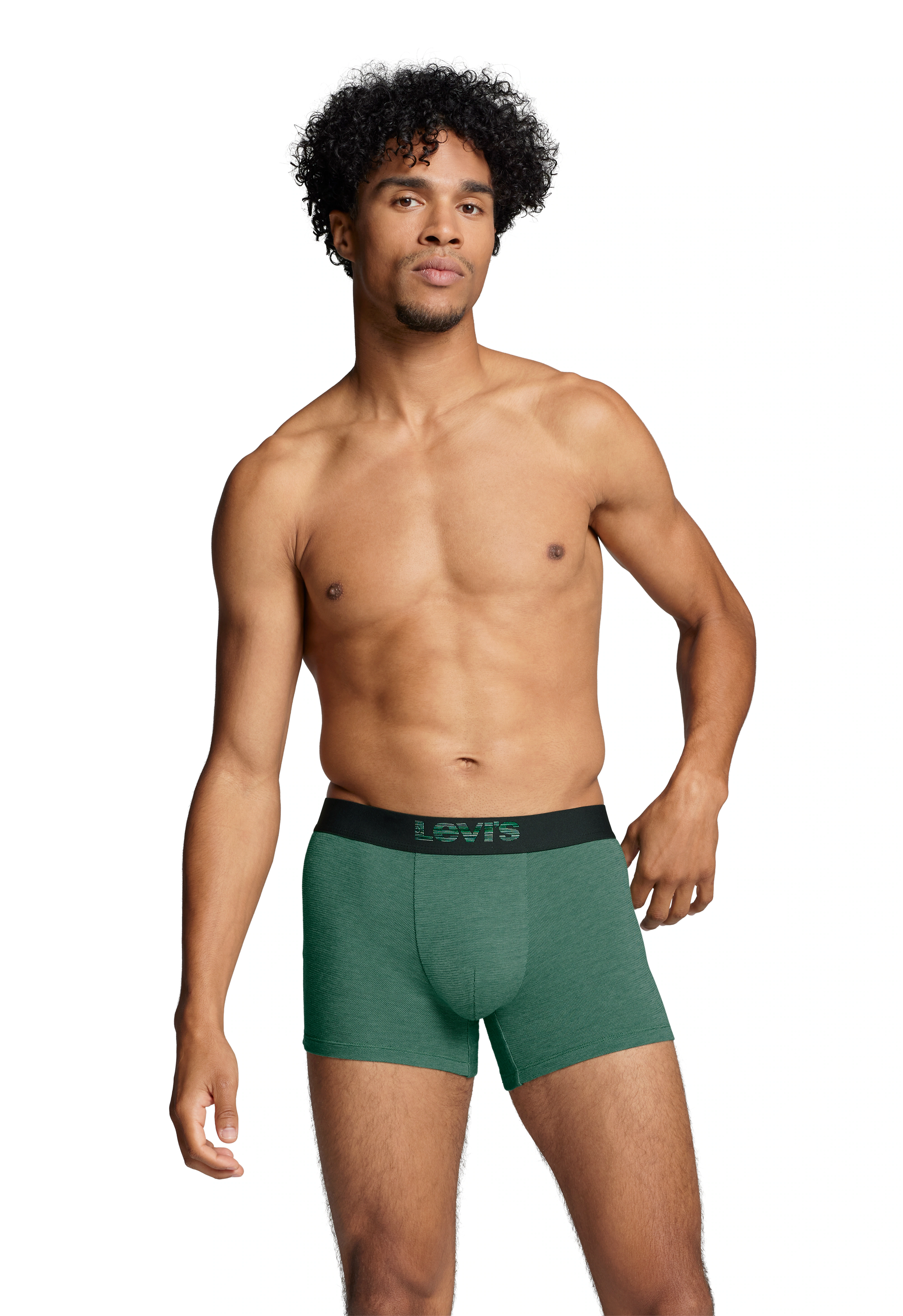 Levis Boxershorts "LEVIS MEN OPT ILL BOXER BRIEF ORG CO 2P", (2er Pack), El günstig online kaufen