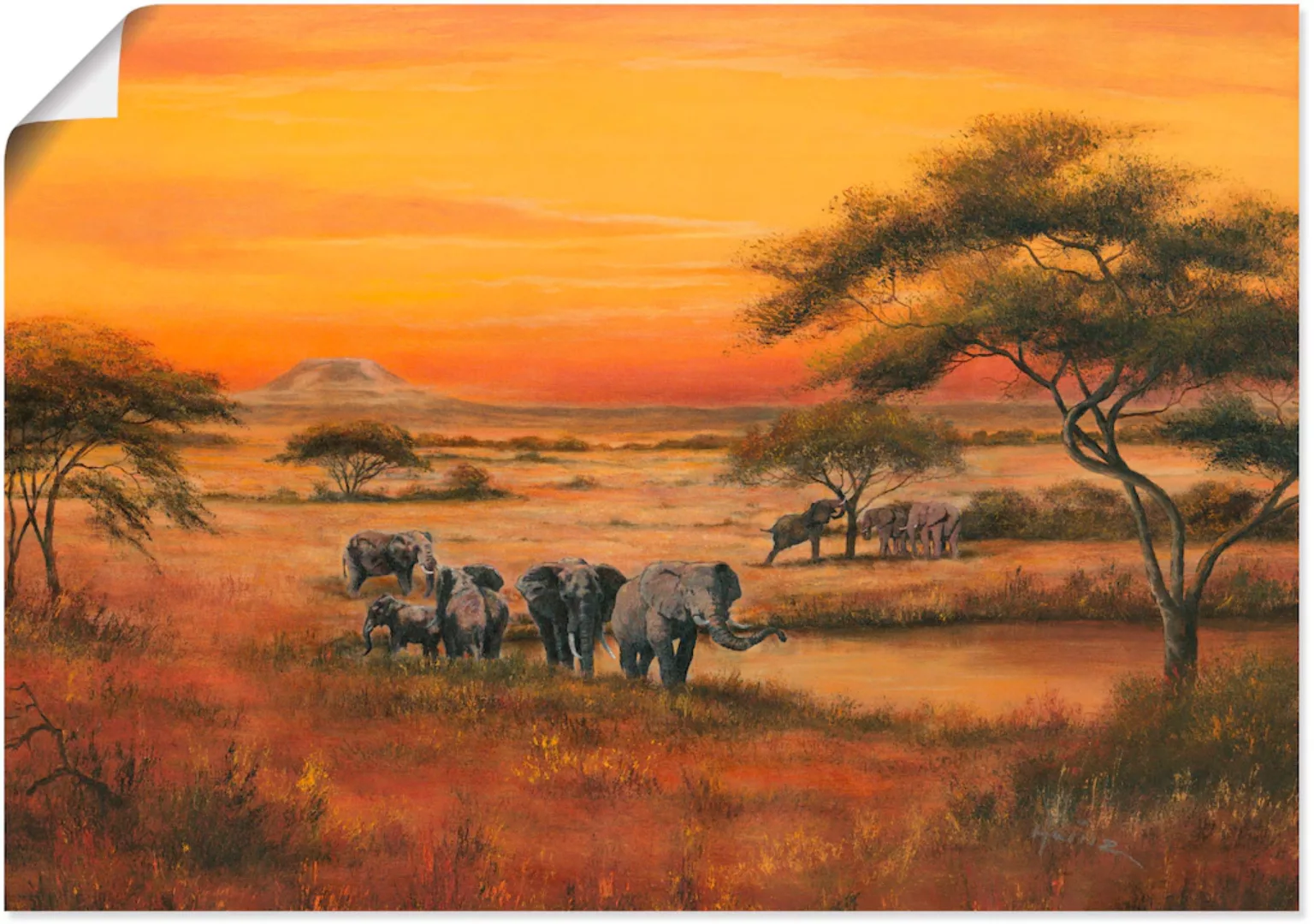 Artland Wandbild "Afrika Elefanten", Afrika, (1 St.), als Alubild, Outdoorb günstig online kaufen