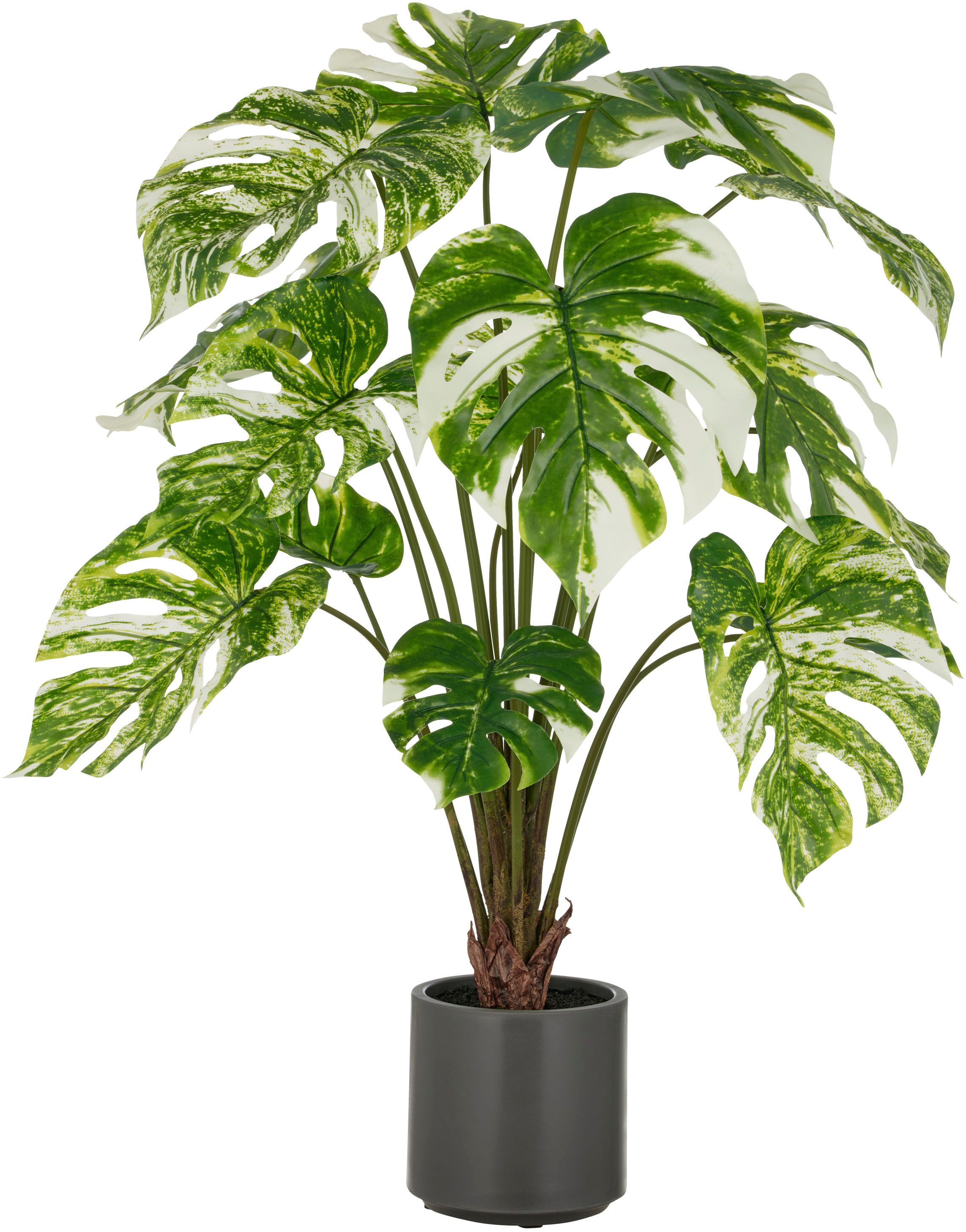 Kunstpflanze Splitphilodendron, Creativ green, Höhe 100 günstig online kaufen