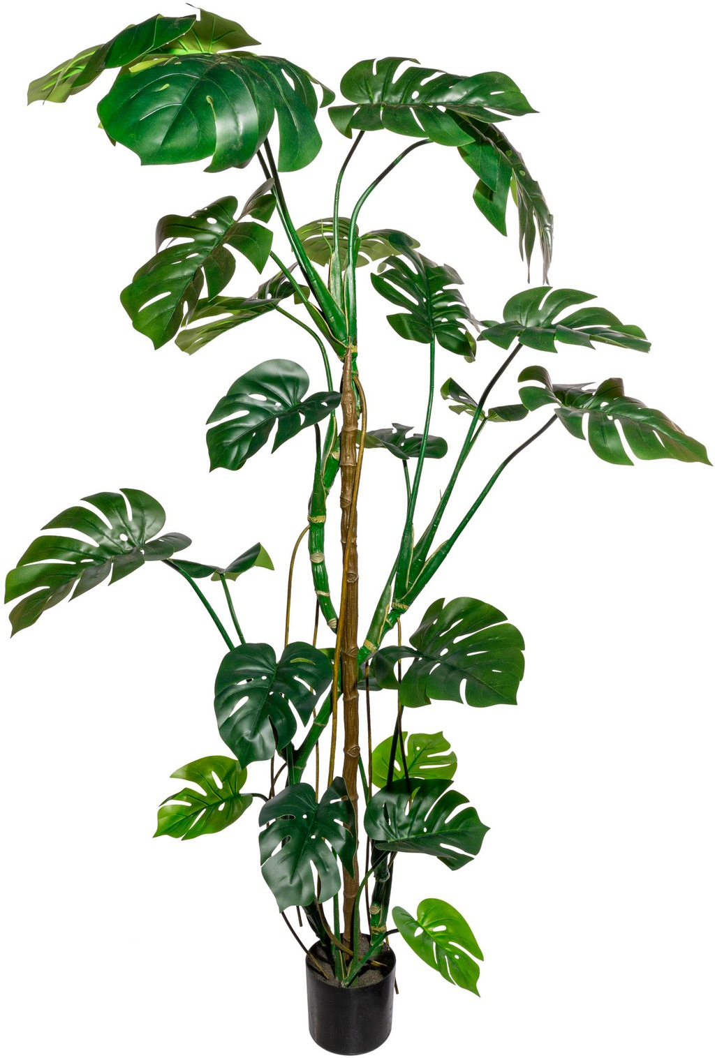 Creativ green Kunstbaum "Splitphilodendron" günstig online kaufen