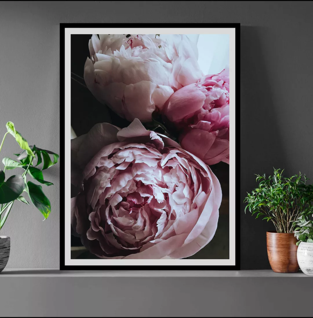 queence Bild "Ursula", Blumen, Rosen, gerahmt günstig online kaufen