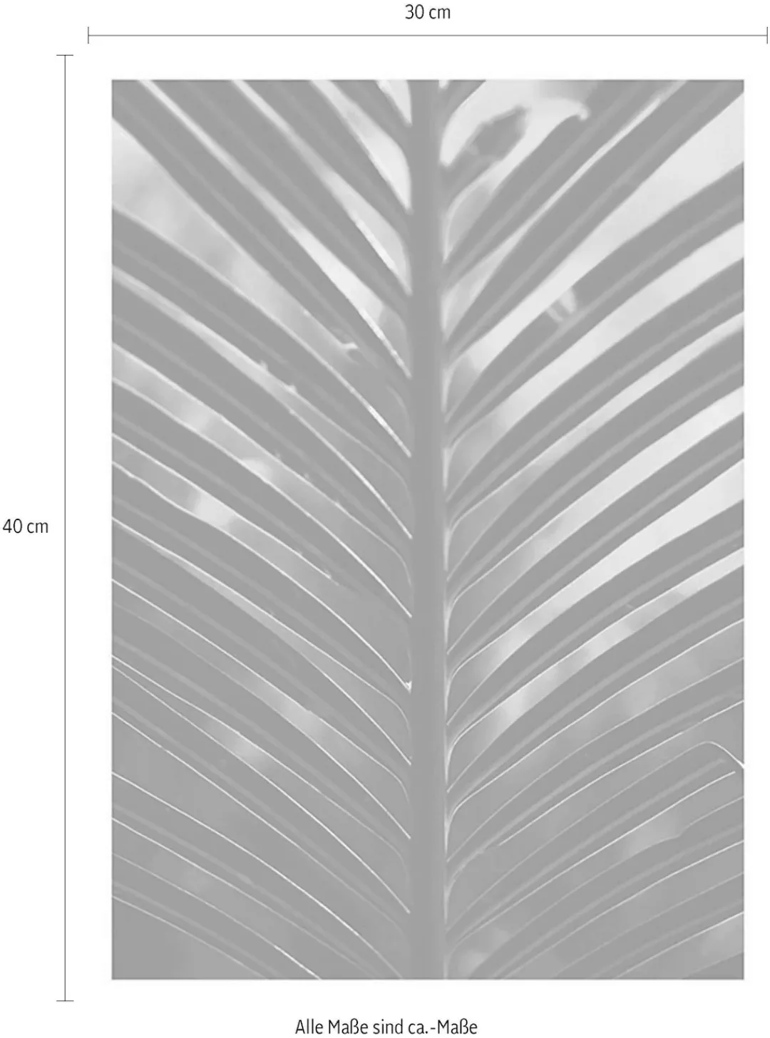 Komar Poster "Hide", Pflanzen-Blätter, (1 St.) günstig online kaufen