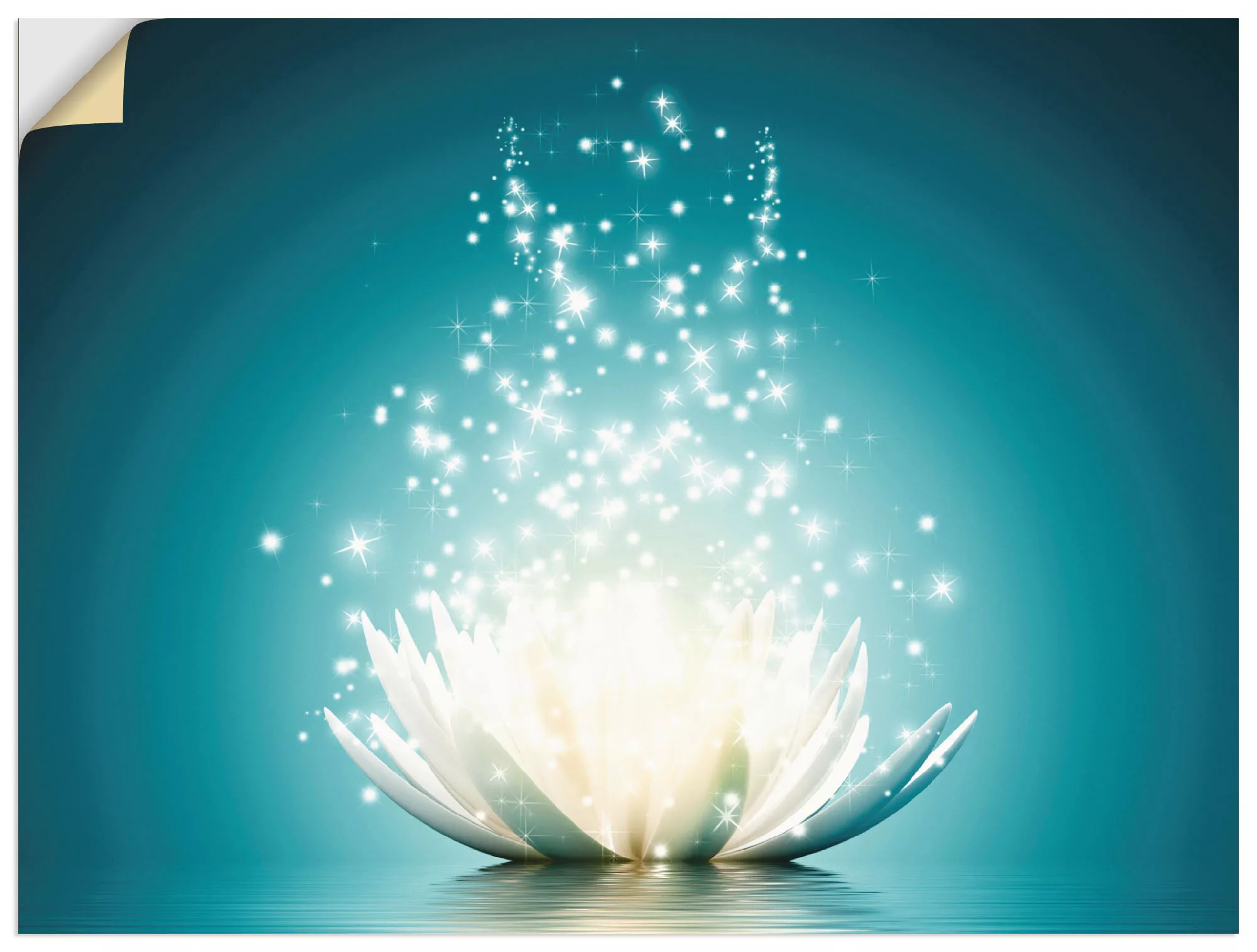 Artland Wandbild "Magie der Lotus-Blume", Blumen, (1 St.), als Leinwandbild günstig online kaufen