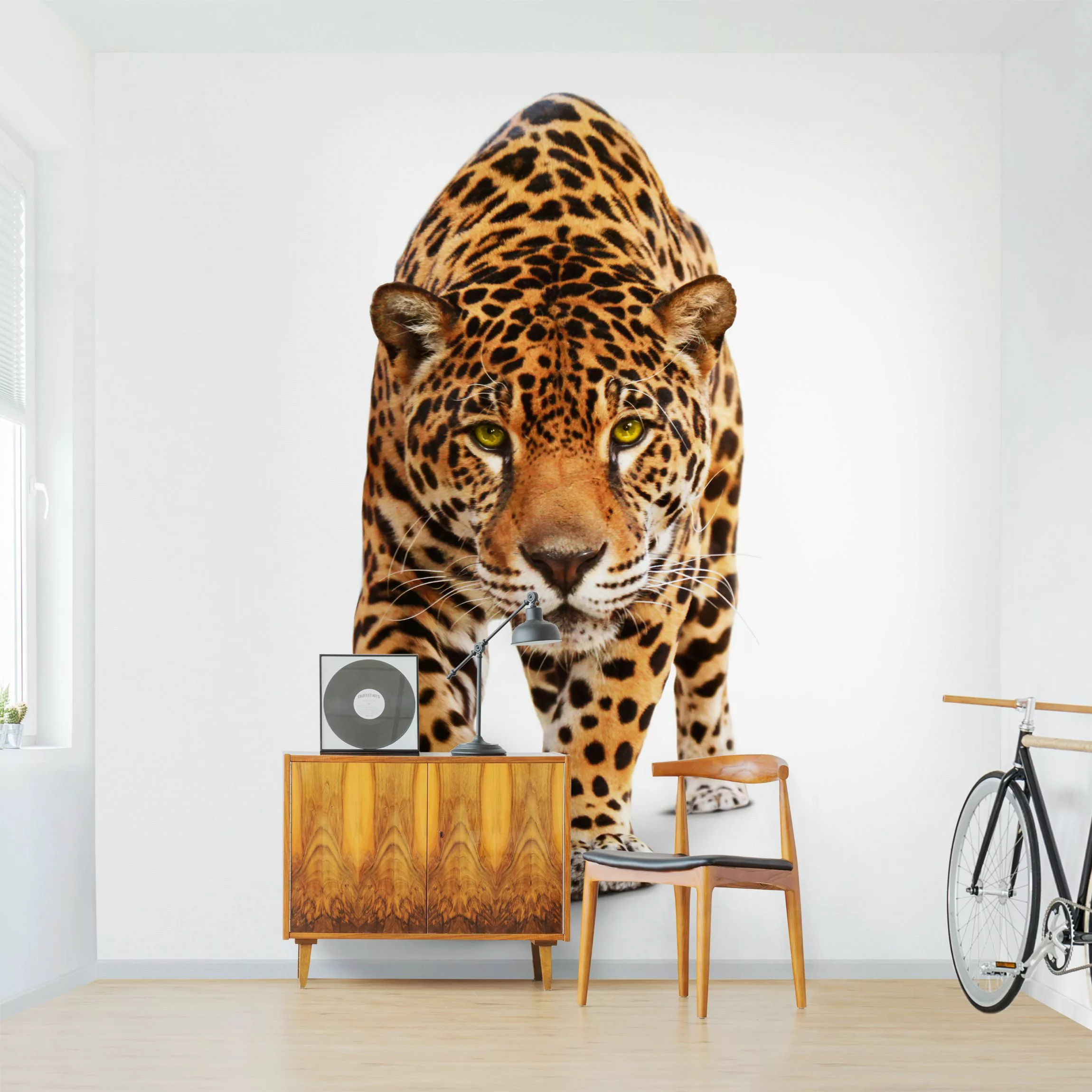Fototapete Creeping Jaguar günstig online kaufen