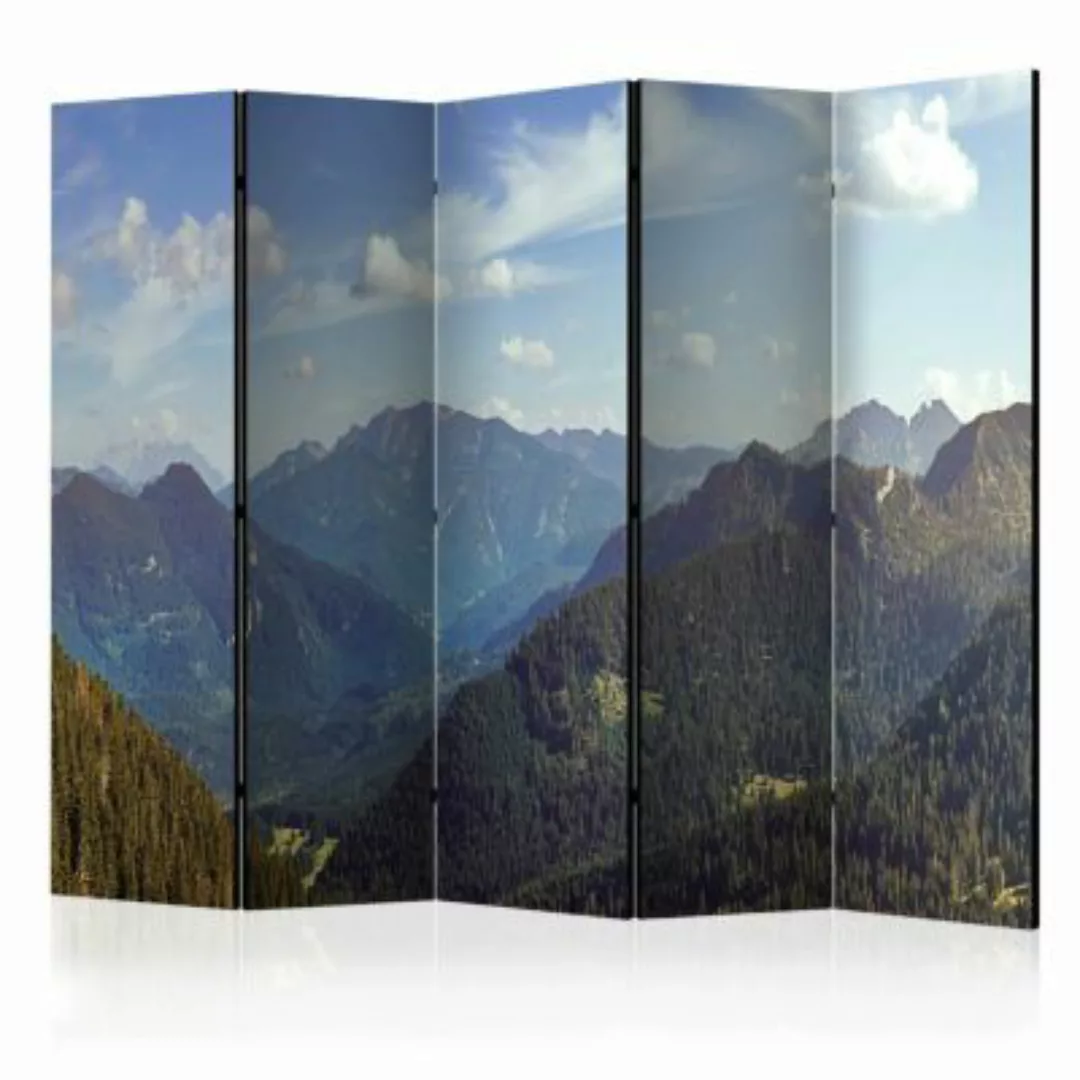 artgeist Paravent Mountains’ Magic II [Room Dividers] mehrfarbig Gr. 225 x günstig online kaufen