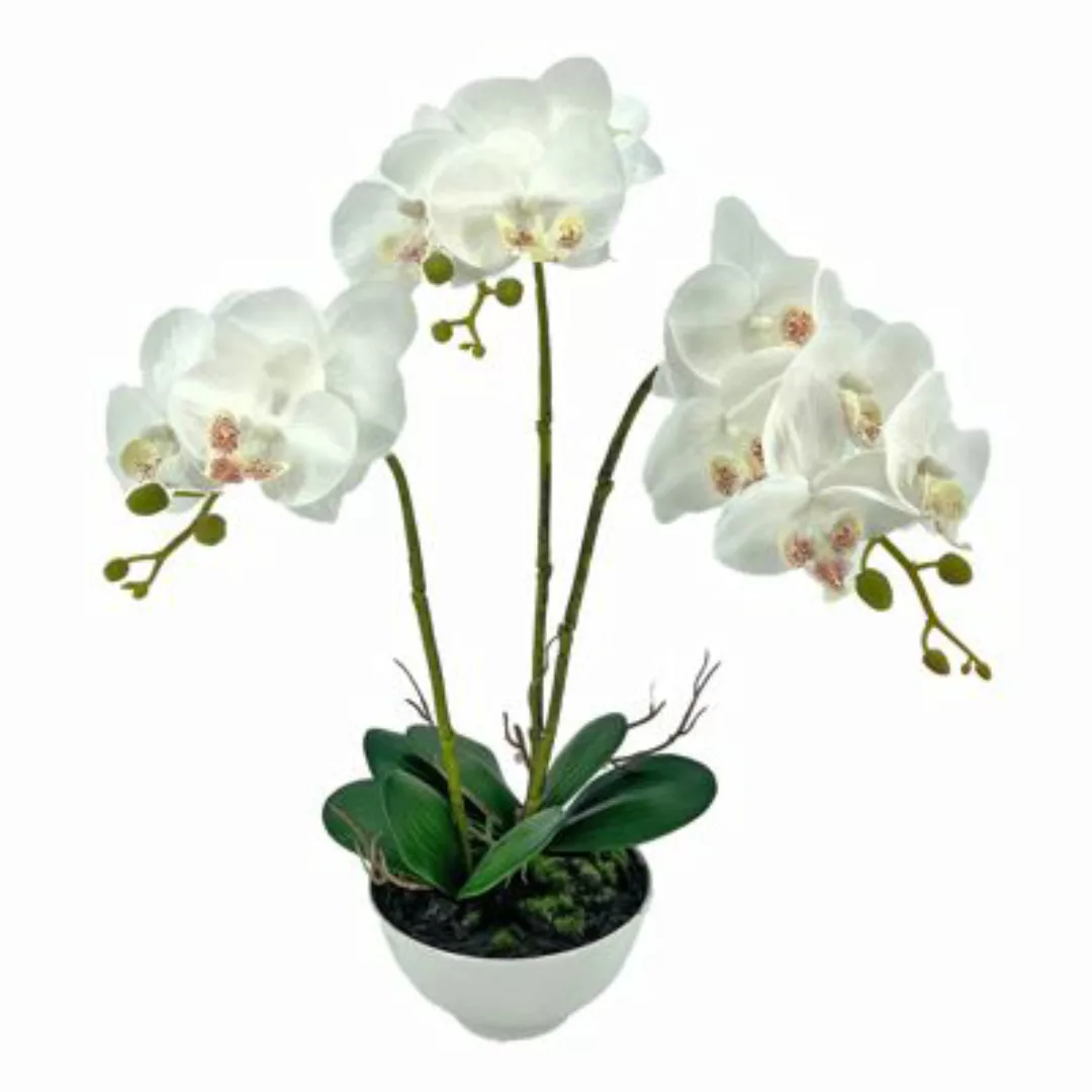 NTK-Collection Kunstblume Orchidee in Schale Leilani weiß günstig online kaufen