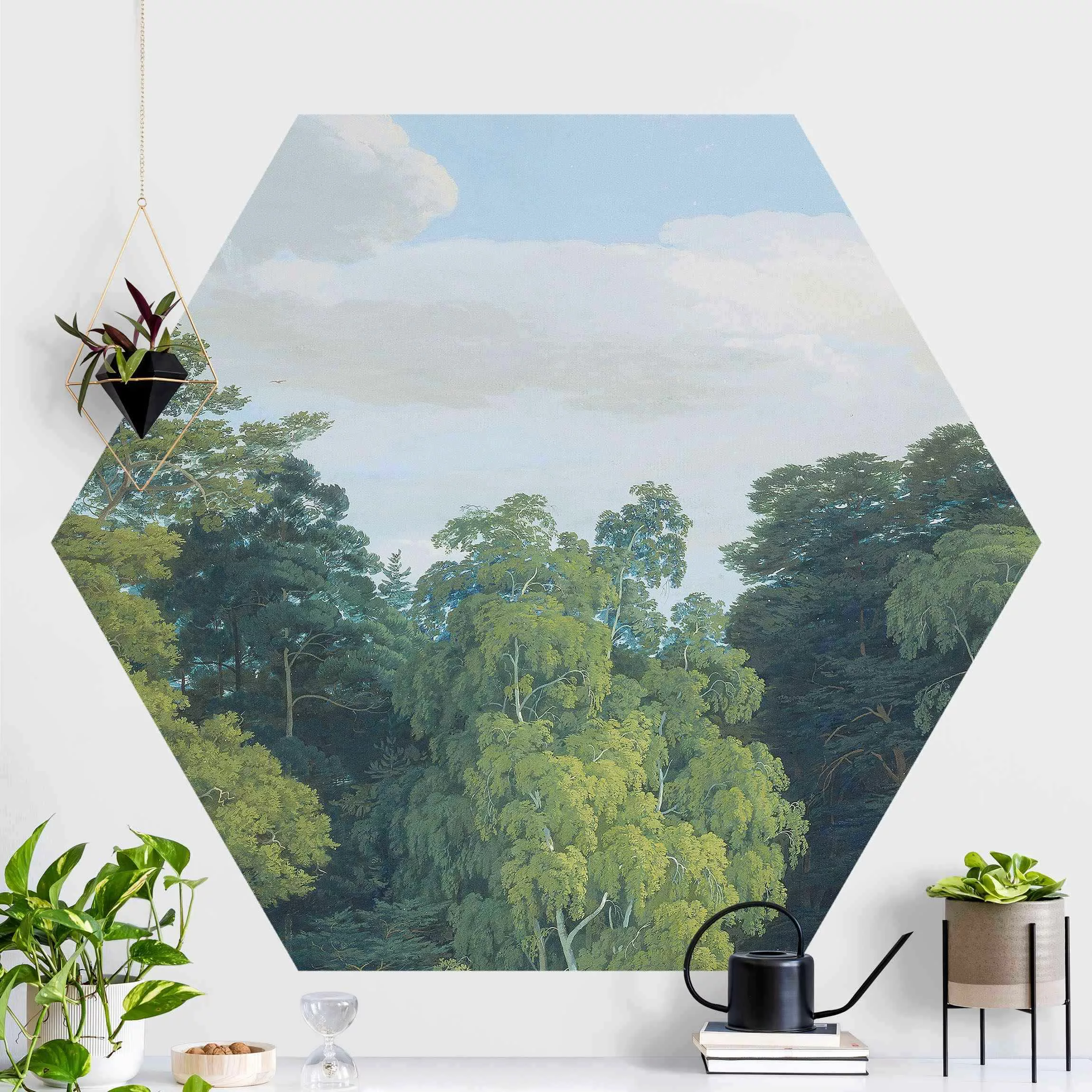 Hexagon Mustertapete selbstklebend Anton Radl - Im Wald zwischen Birken und günstig online kaufen
