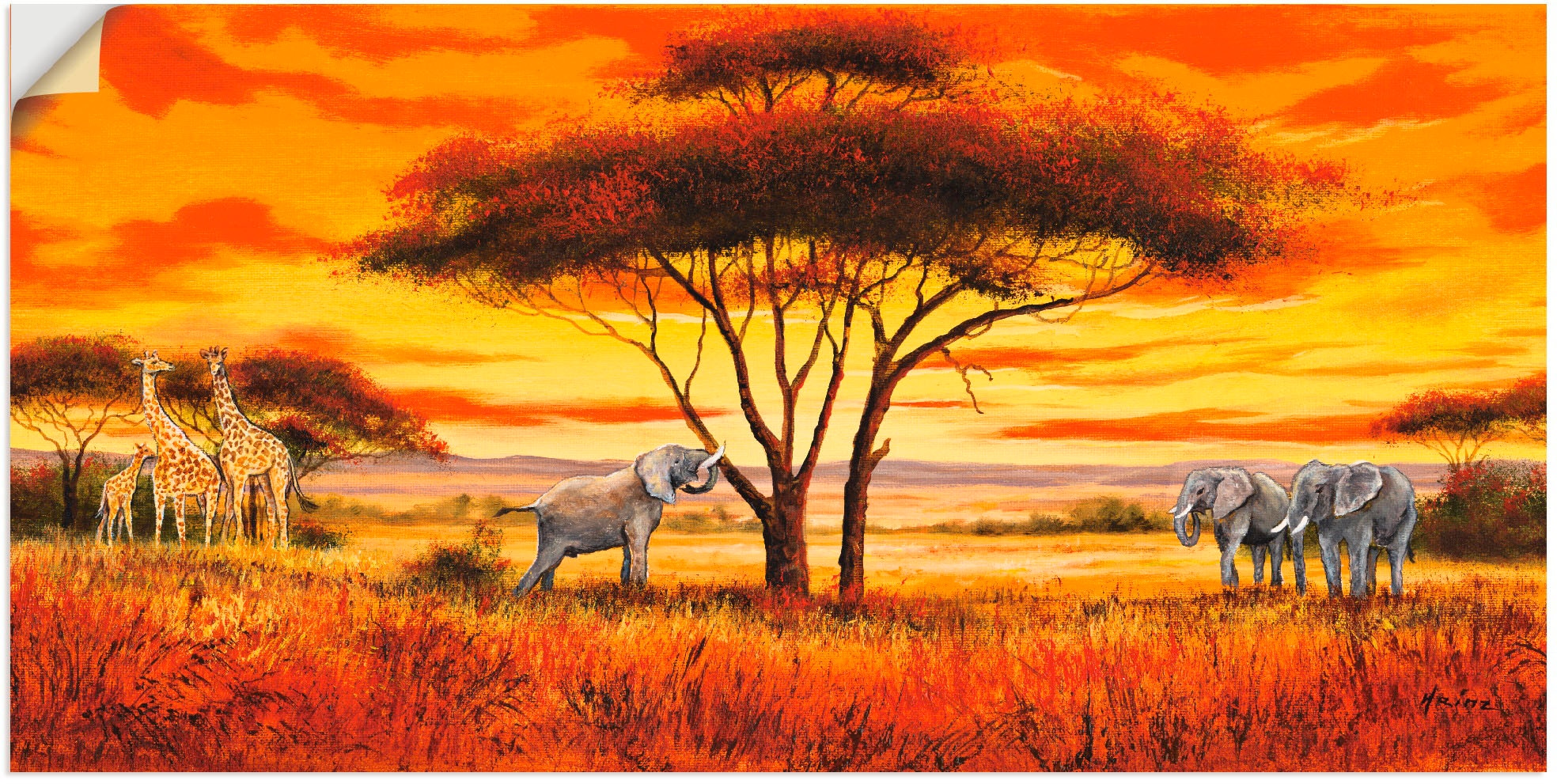 Artland Wandbild "Afrikanische Landschaft II", Afrika, (1 St.), als Alubild günstig online kaufen