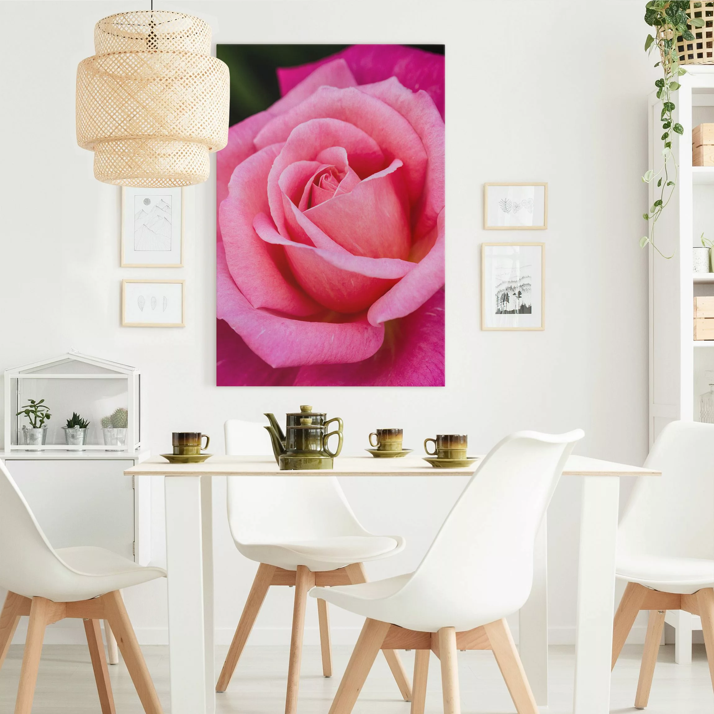 Leinwandbild Pinke Rosenblüte vor Grün günstig online kaufen