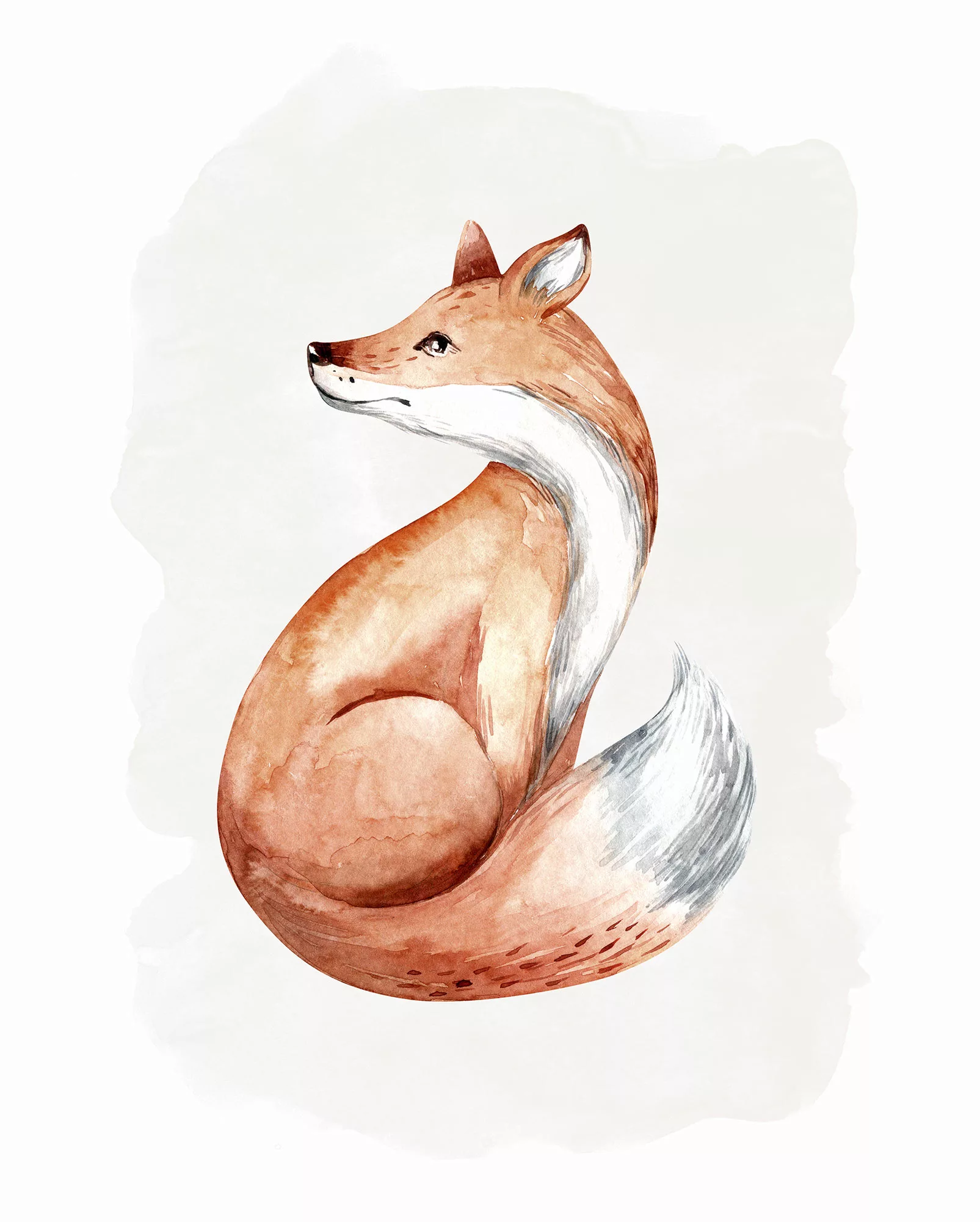 Komar Bild "Curious Fox", Natur, (1 St.), Wandbild zur Dekoration - ohne Ra günstig online kaufen