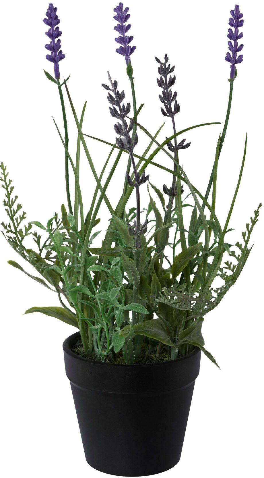 Creativ green Kunstpflanze "Lavendel", 3er Set, im Kunststofftopf günstig online kaufen