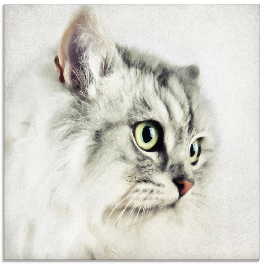 Artland Glasbild "Katzenporträt weiß", Haustiere, (1 St.), in verschiedenen günstig online kaufen