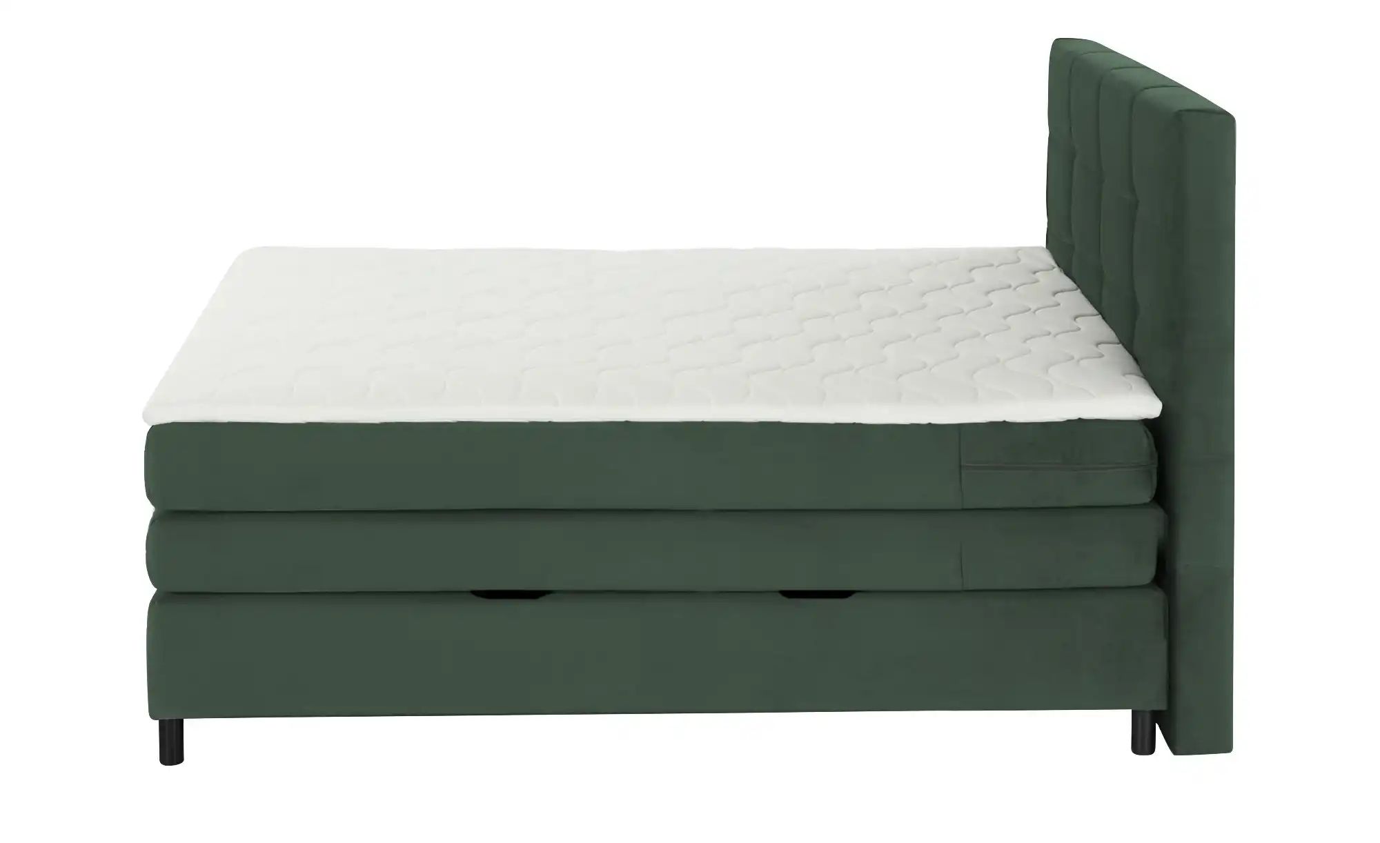 Boxspringbett  Wind ¦ grün ¦ Maße (cm): B: 160 H: 152 Betten > Komfortbette günstig online kaufen