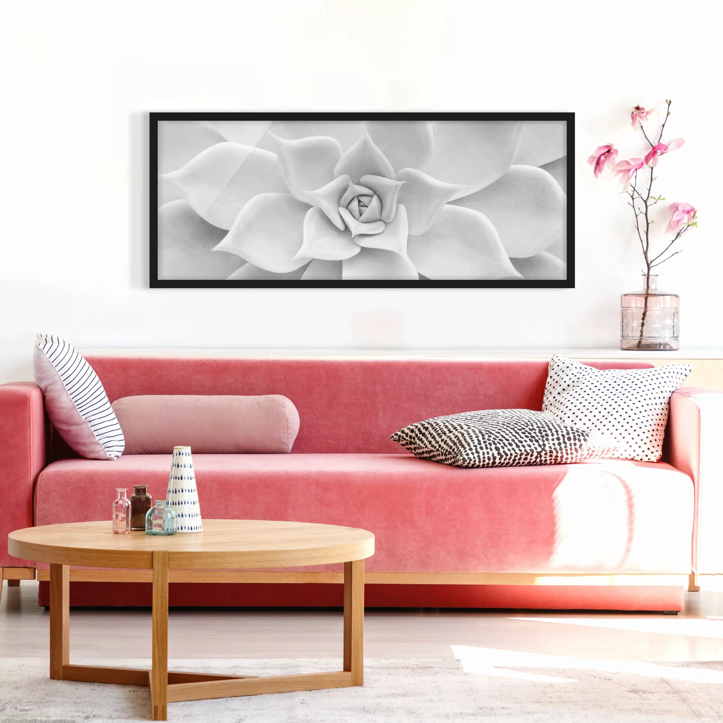 Bild mit Rahmen Blumen - Panorama Kaktus Sukkulente günstig online kaufen