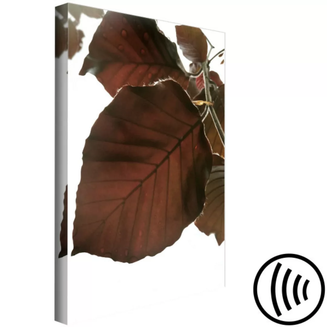 Wandbild Autumn Leaves (1 Part) Vertical XXL günstig online kaufen