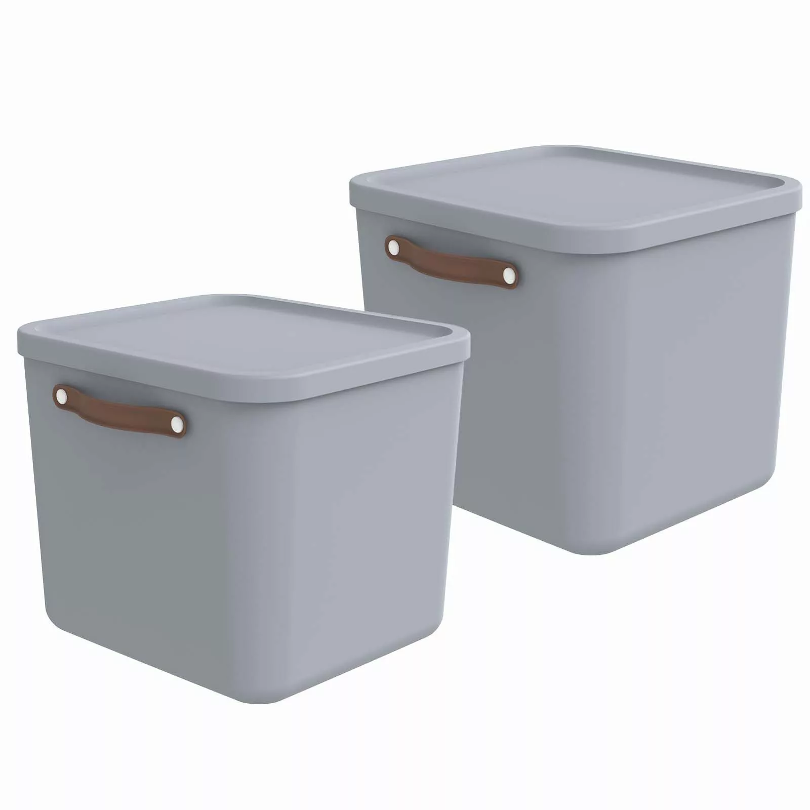 ROTHO Aufbewahrungsbox 2er-Set Aufbewahrungskiste 40l (Aufbewahrungsset, günstig online kaufen