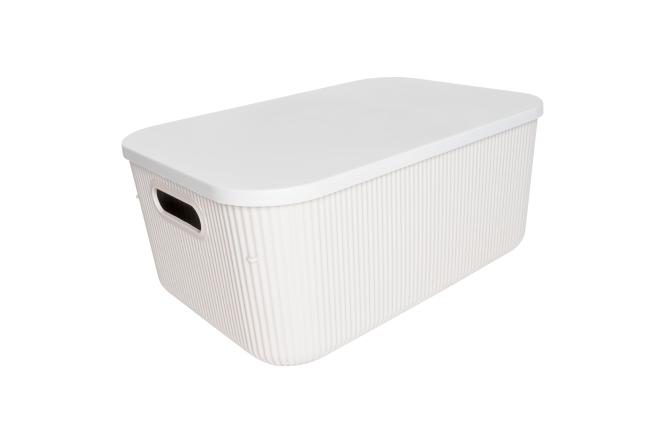 Aufbewahrungsbox MICHELINO mit Deckel 1 Stück ca. 13 l Serie Alytia beige günstig online kaufen