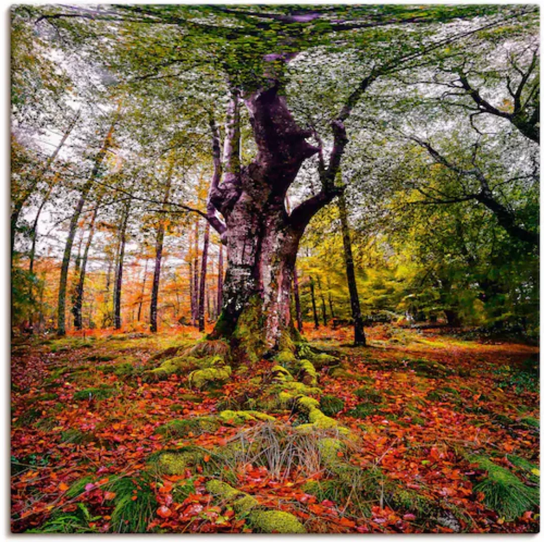 Artland Wandbild »Baum im Wald«, Baumbilder, (1 St.) günstig online kaufen