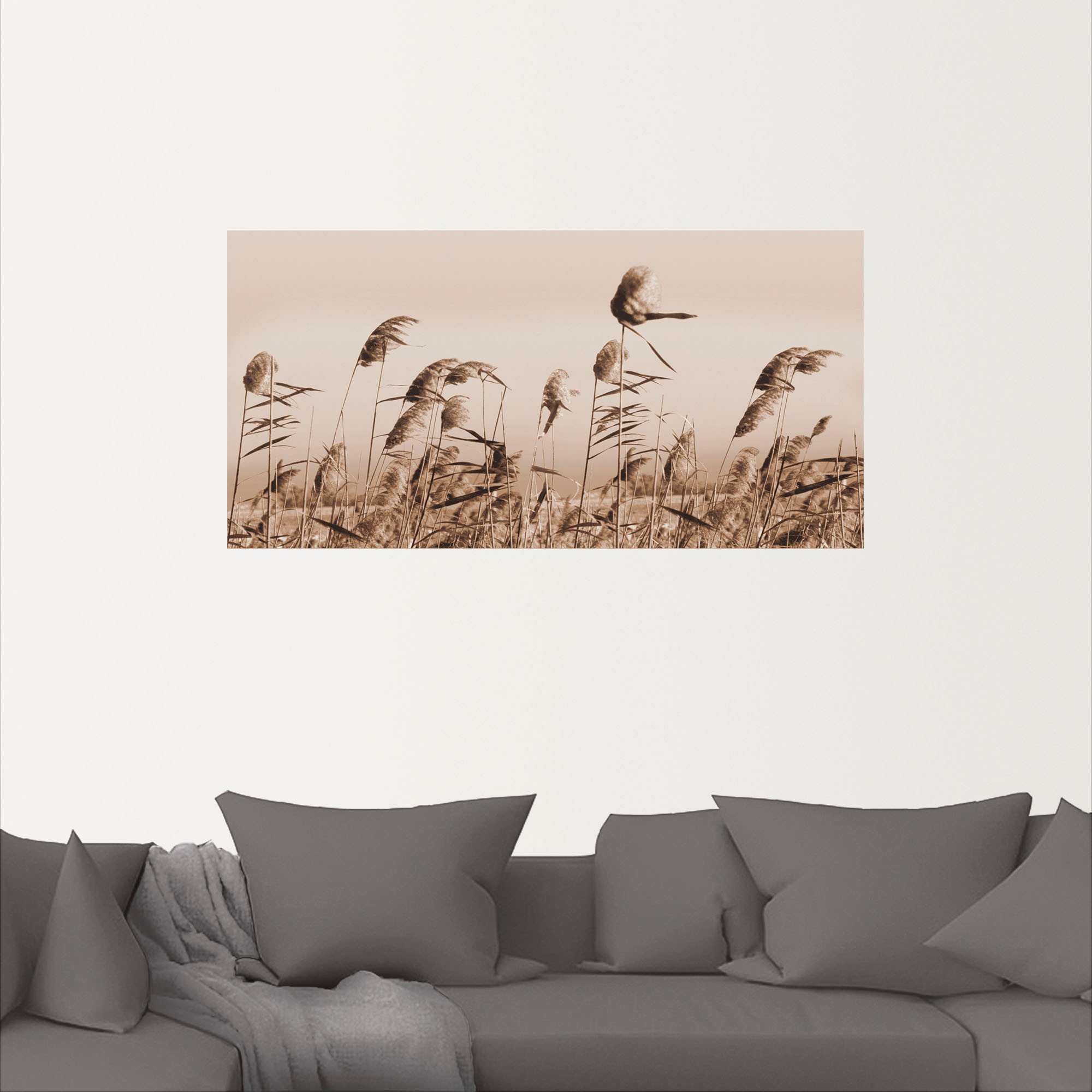 Artland Wandbild "Gräser", Gräser, (1 St.), als Alubild, Outdoorbild, Leinw günstig online kaufen