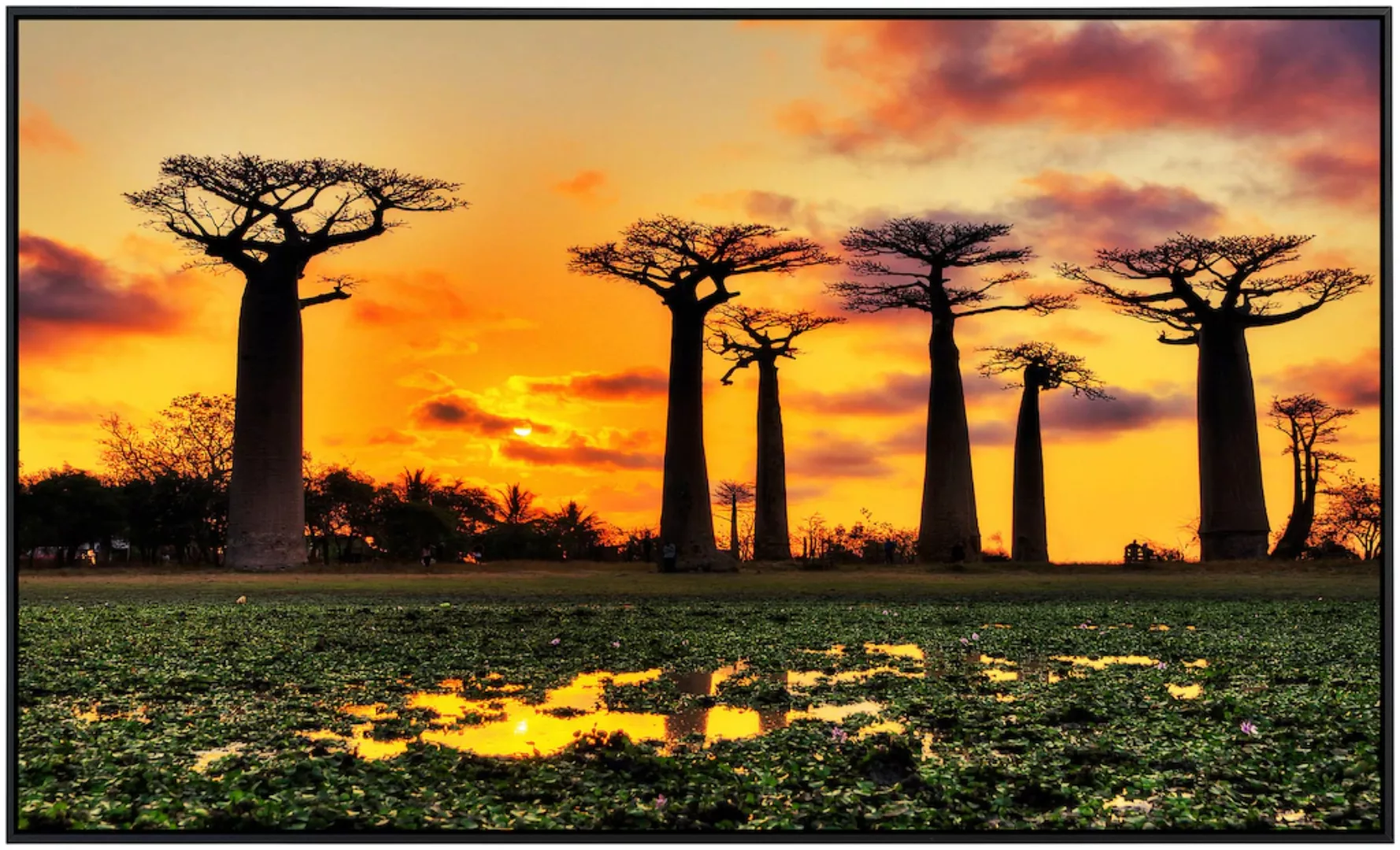 Papermoon Infrarotheizung »Baobabs Bäume Afrikanischer Sonnenuntergang« günstig online kaufen