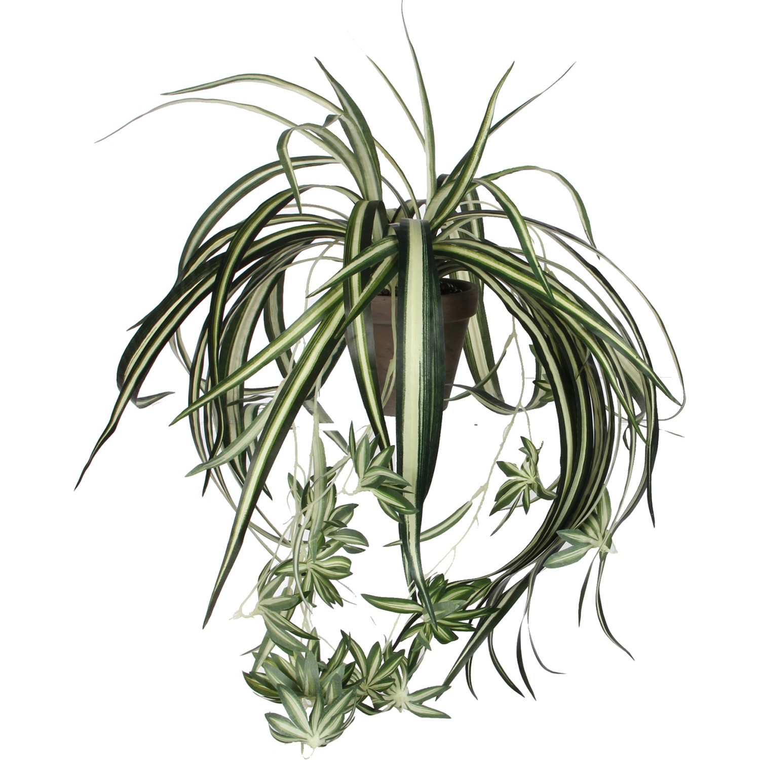 Mica Decorations Kunstpflanze Chlorophytum in Topf H 45 cm, Ø: 45 cm günstig online kaufen