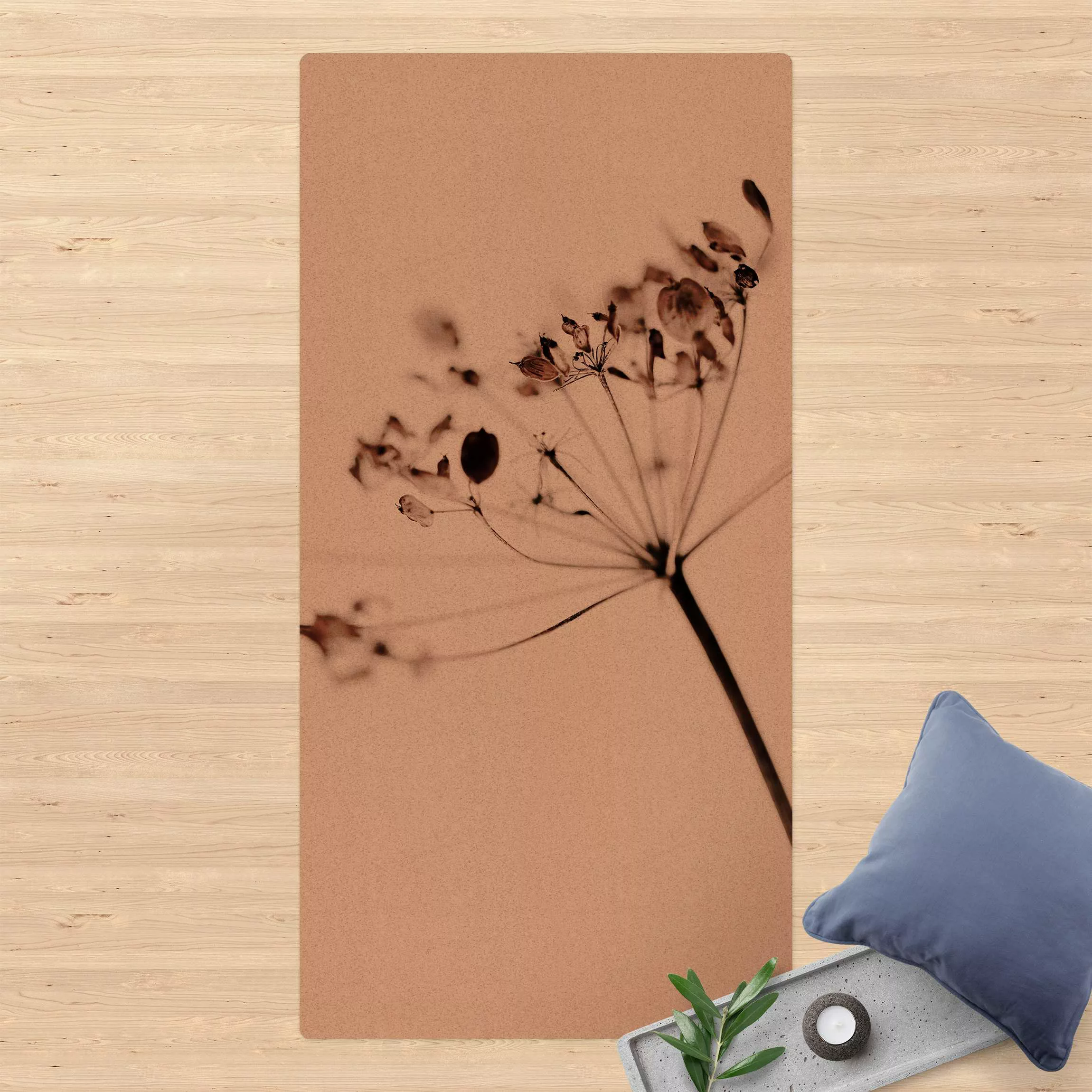 Kork-Teppich Makroaufnahme Trockenblume im Schatten günstig online kaufen