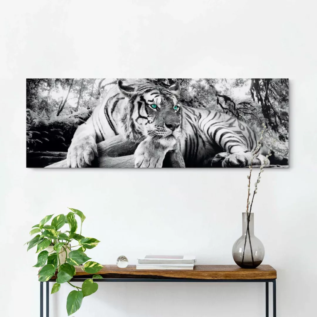 Reinders Wandbild "Tigerblick Wandbild Tiger - Raubtier - Wandbild Wohnzimm günstig online kaufen