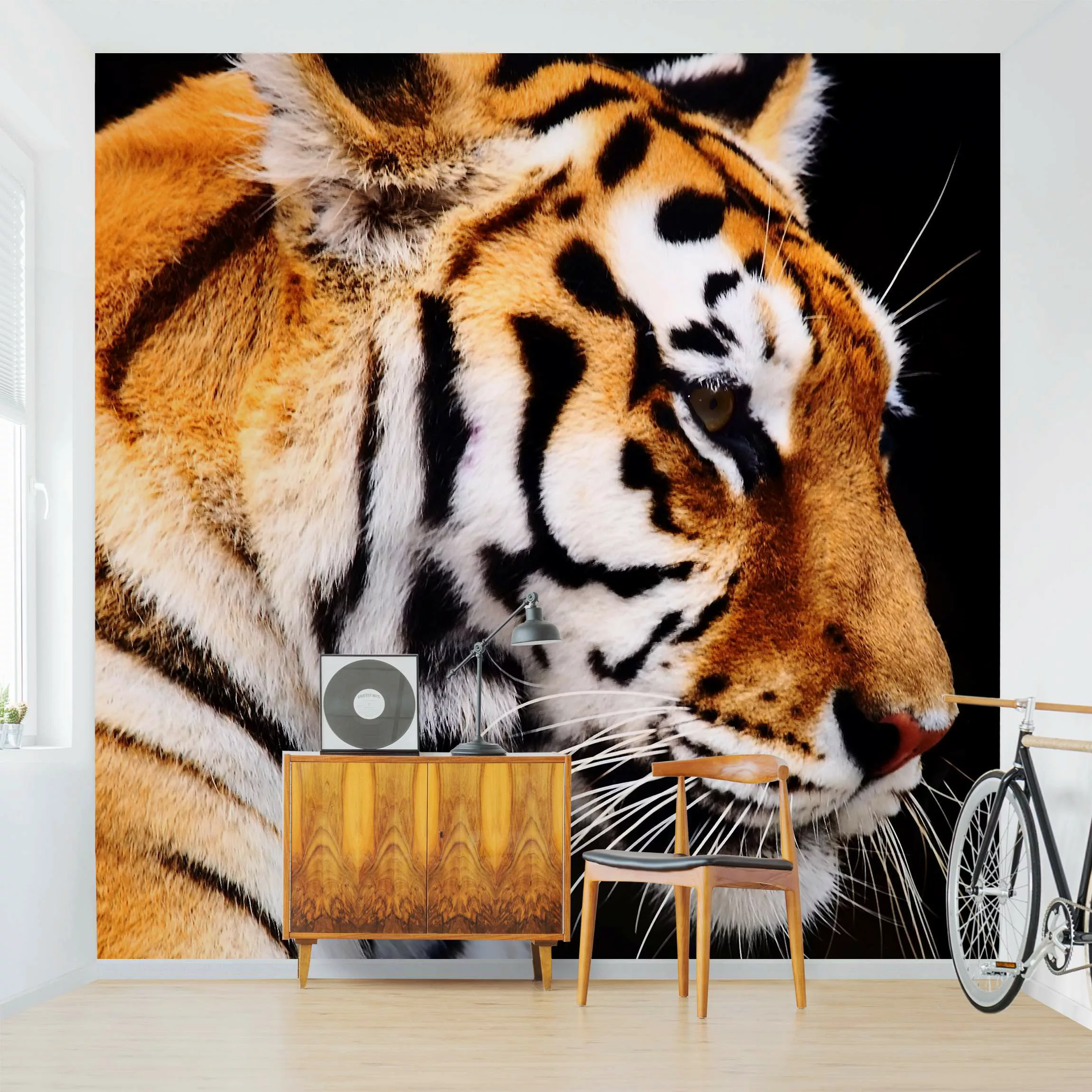 Fototapete Tiger Schönheit günstig online kaufen