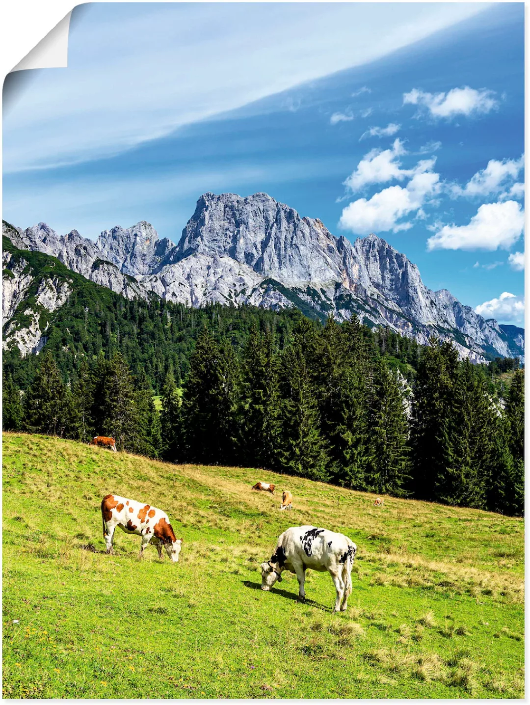 Artland Poster "Blick auf die Litzlalm mit Kühen", Berge & Alpenbilder, (1 günstig online kaufen