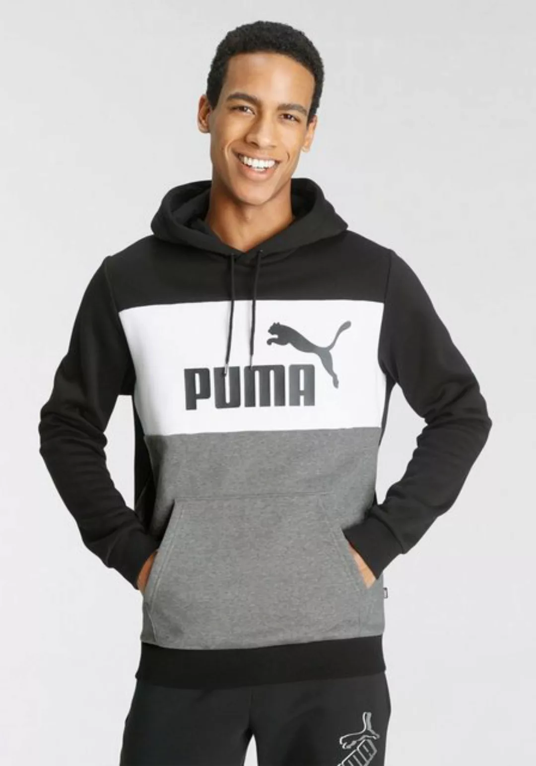 PUMA Kapuzensweatshirt ESS+ COLORBLOCK HOODIE FL günstig online kaufen