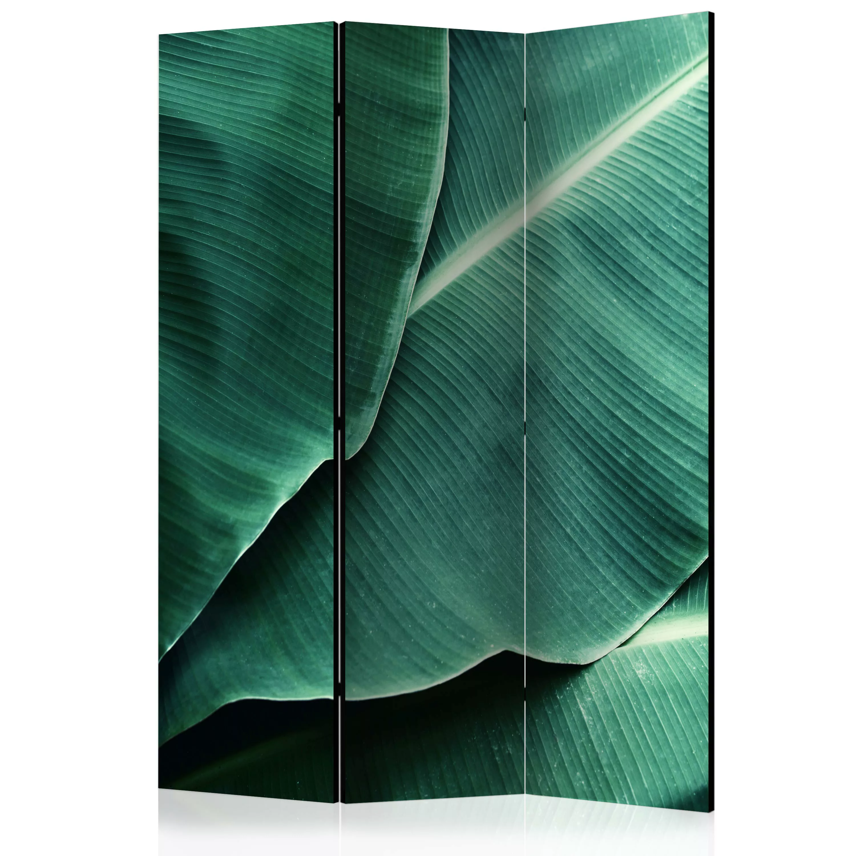 3-teiliges Paravent - Banana Leaf [room Dividers] günstig online kaufen