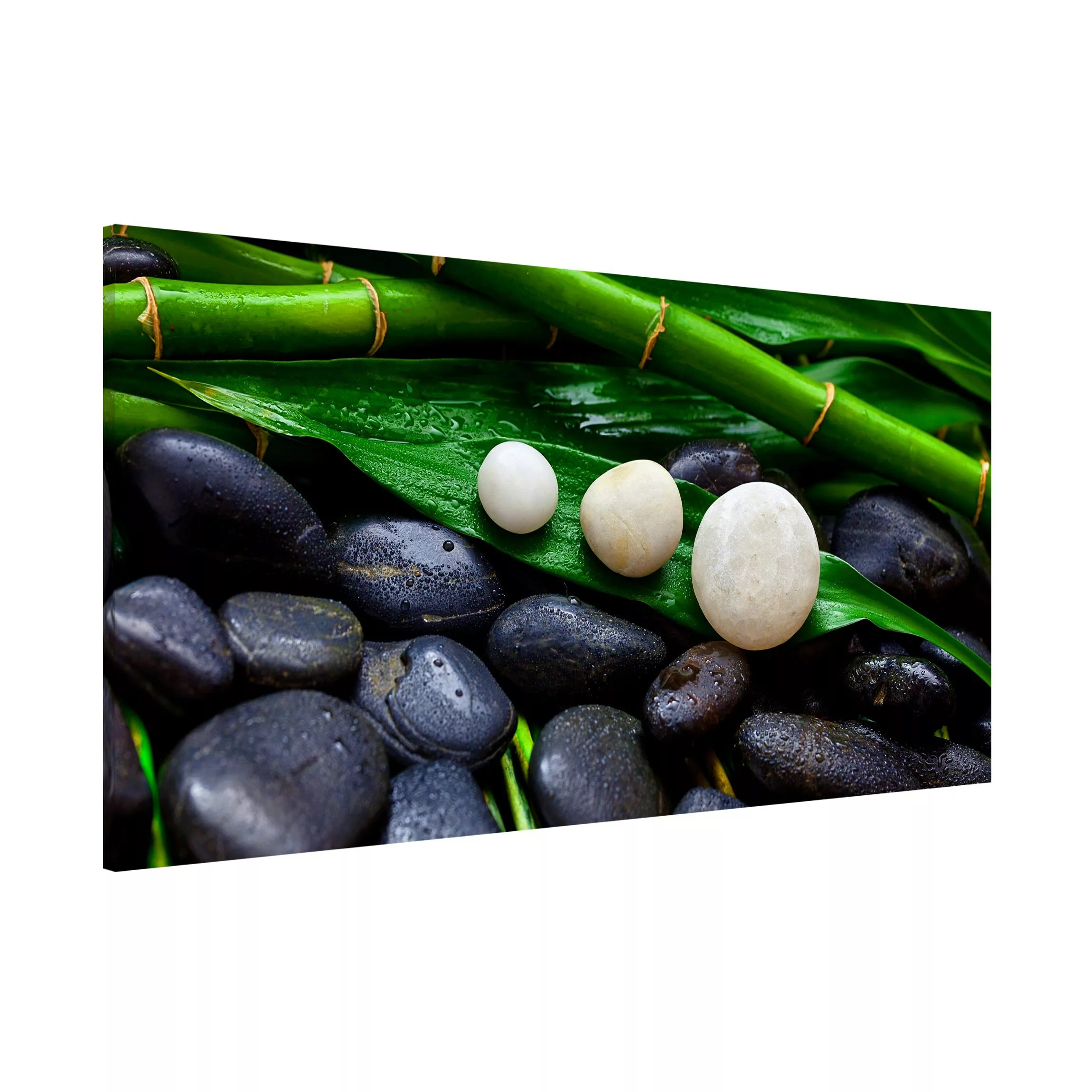 Magnettafel Grüner Bambus mit Zen Steinen günstig online kaufen