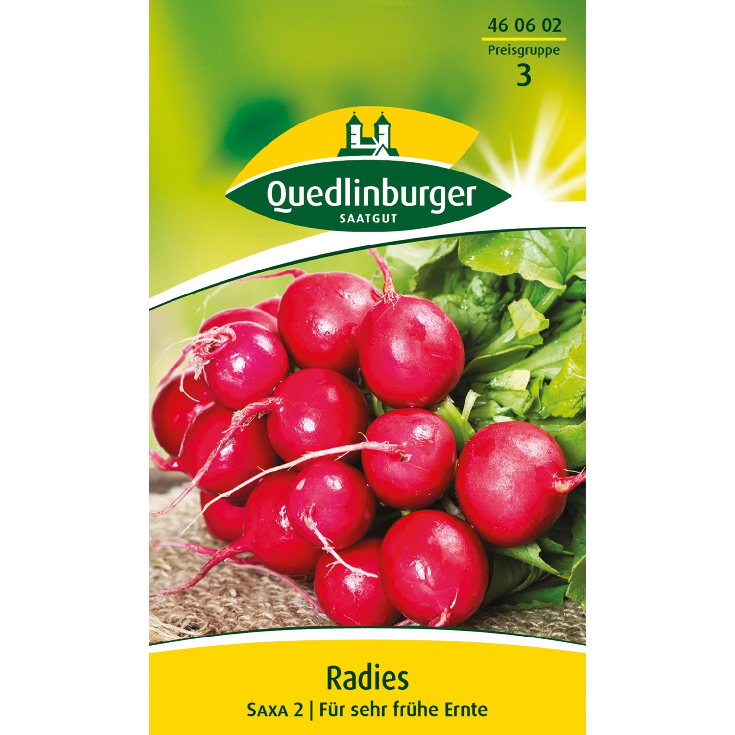 Quedlinburger Radies ''Saxa 2'' günstig online kaufen