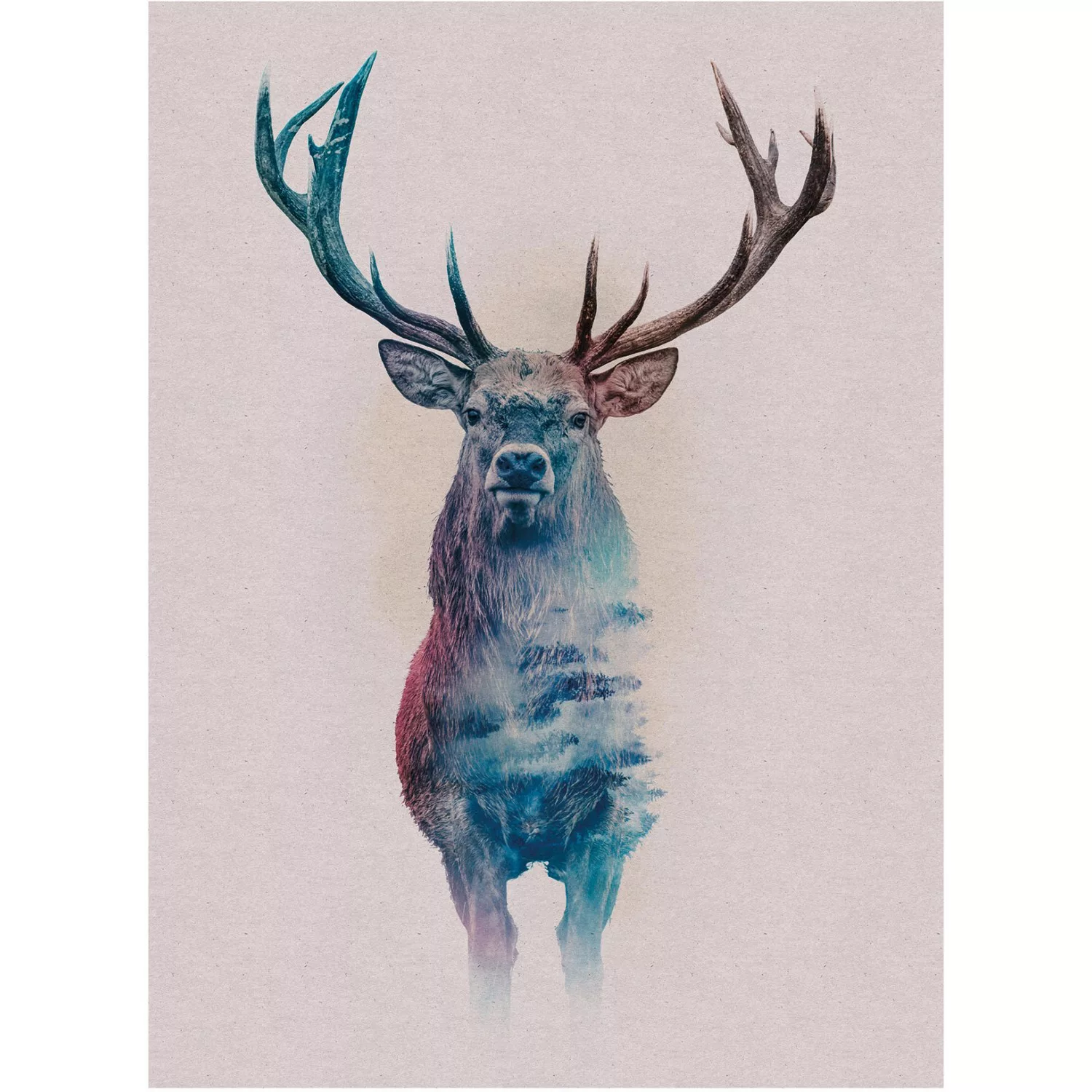 Komar Wandbild Animals Deer 30 x 40 cm günstig online kaufen