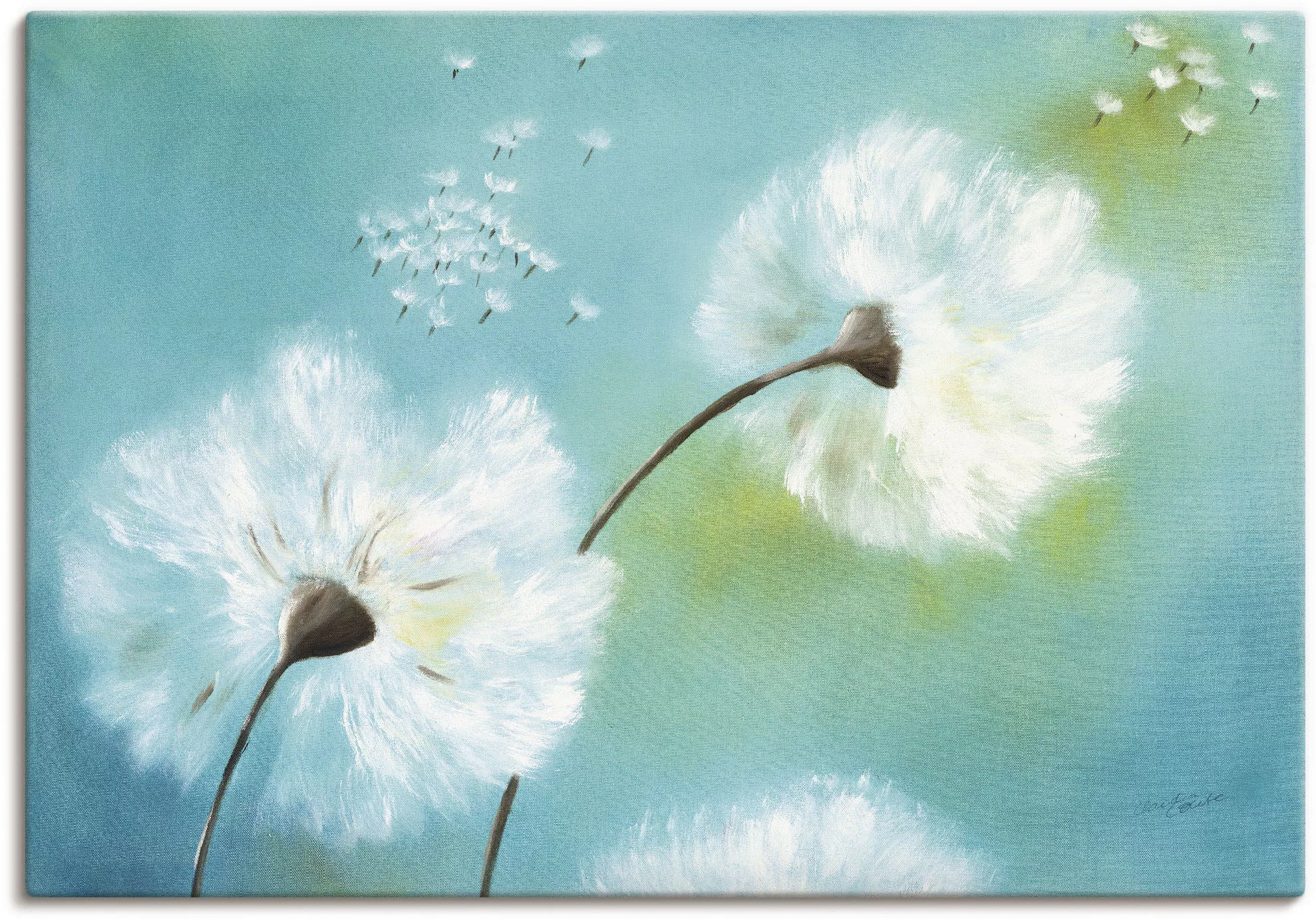 Artland Wandbild »Pusteblumen«, Blumen, (1 St.), als Alubild, Outdoorbild, günstig online kaufen