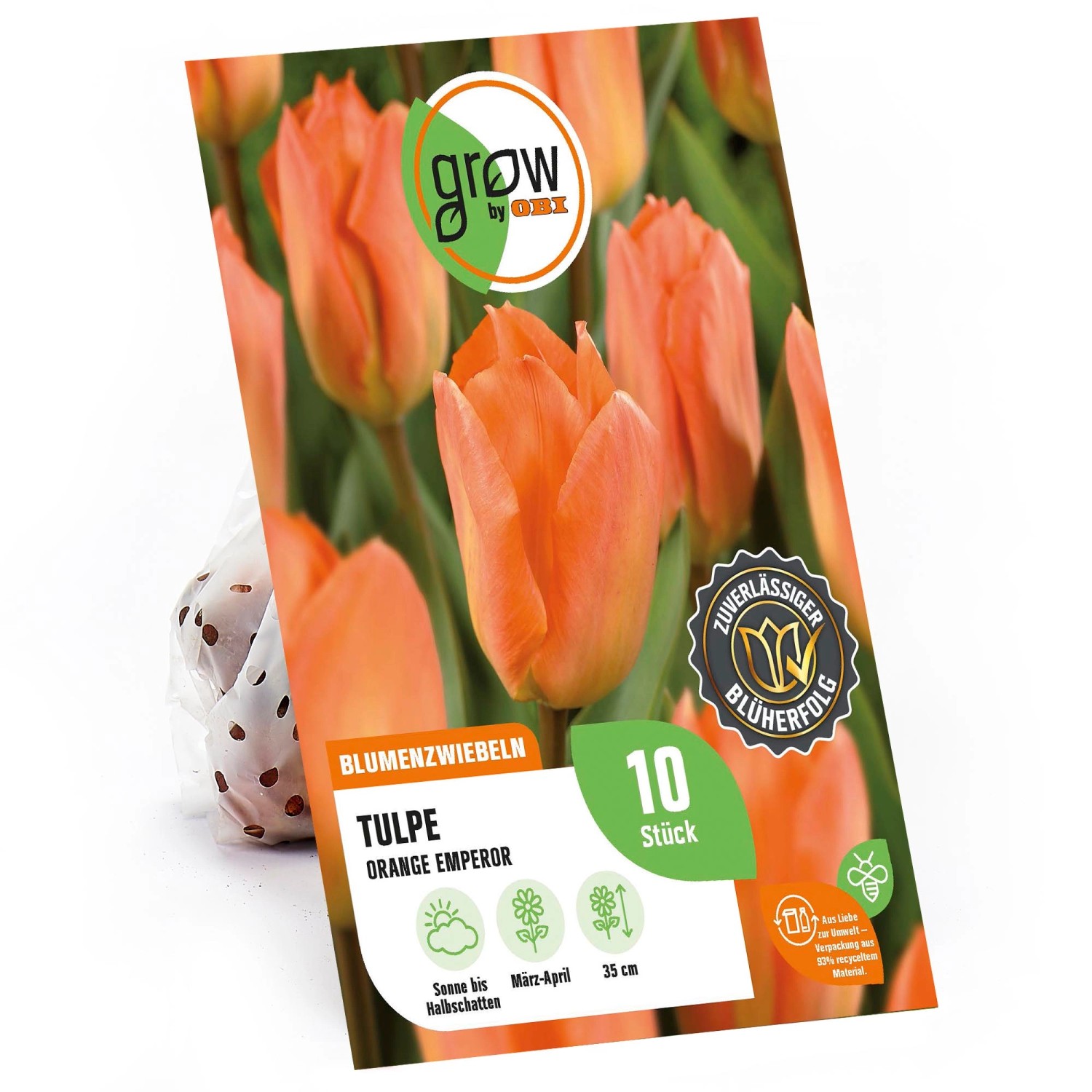 GROW by OBI Tulpe Orange Emperor Orange 35 cm Tulipa fosteriana günstig online kaufen