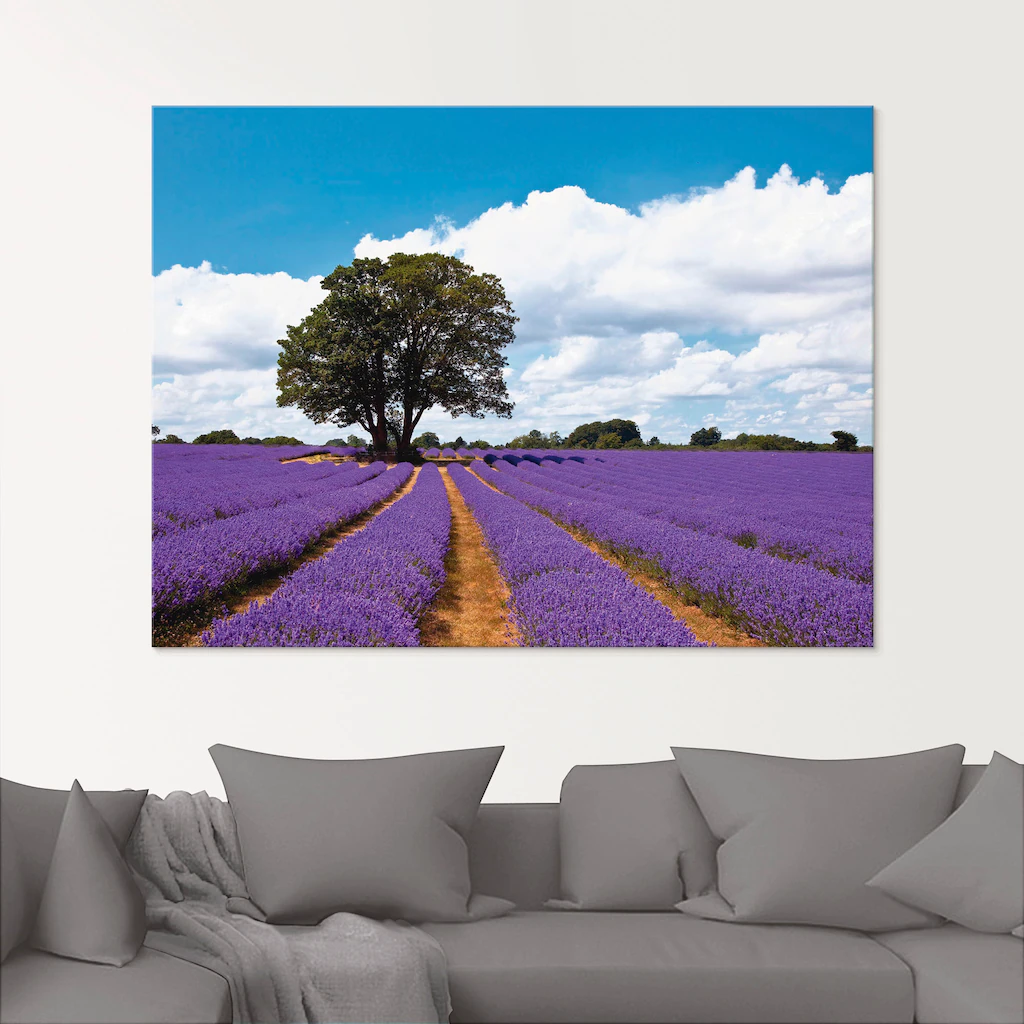 Artland Glasbild "Schönes Lavendelfeld im Sommer", Felder, (1 St.), in vers günstig online kaufen