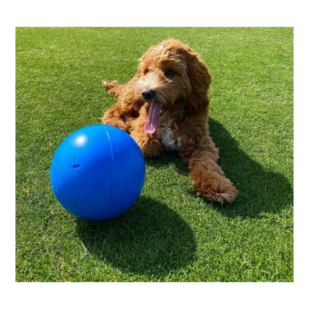 Hundespielzeug Company Of Animals Boomer Blau (100mm) günstig online kaufen