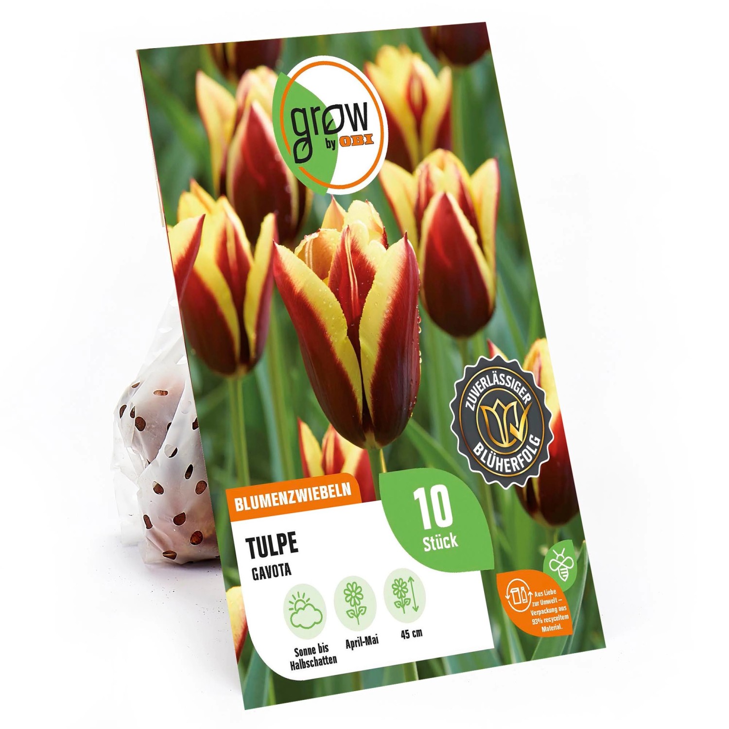 GROW by OBI Triumph-Tulpe Gavota Rot-Gelb 45 cm Tulipa günstig online kaufen