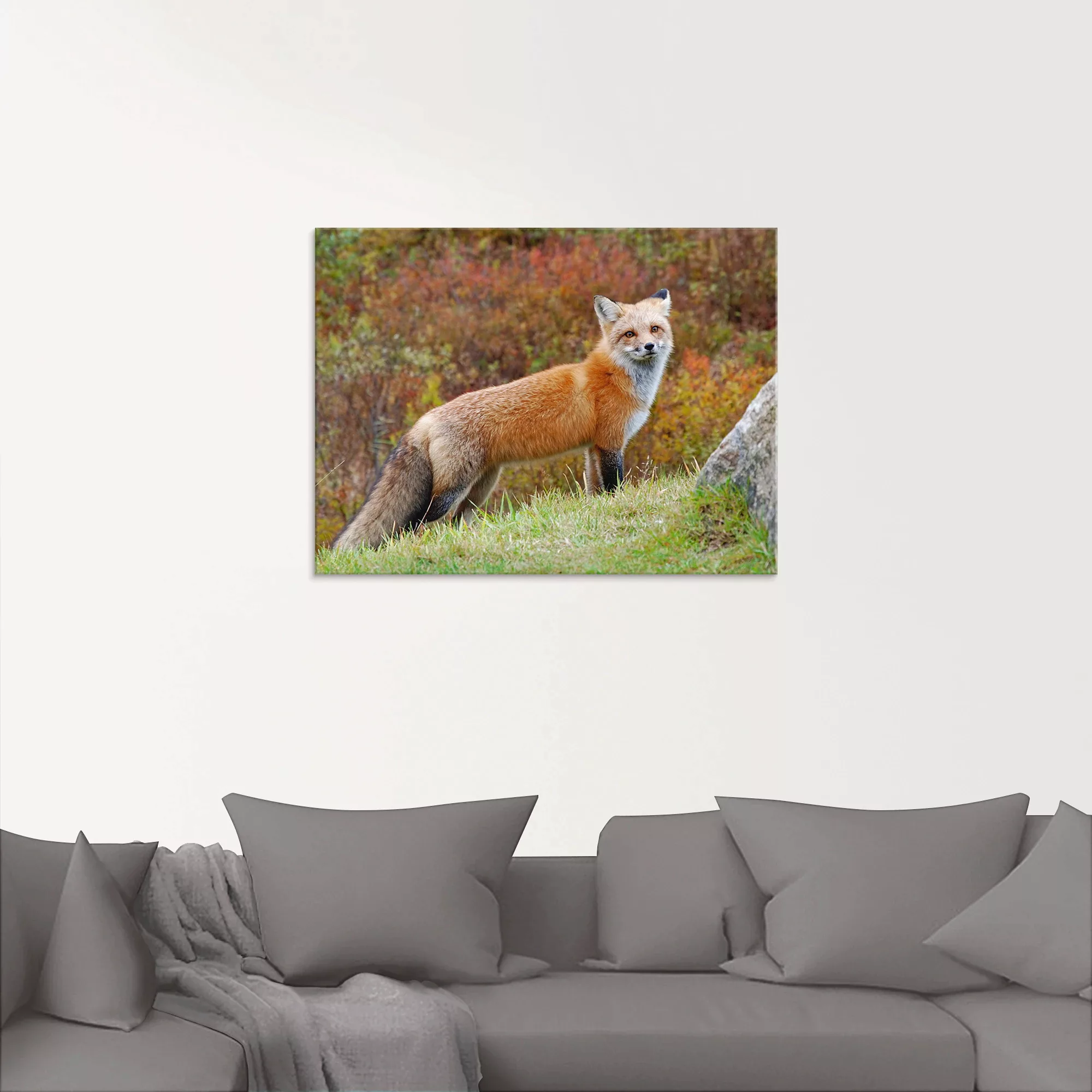 Artland Glasbild "Fuchs I", Wildtiere, (1 St.), in verschiedenen Größen günstig online kaufen