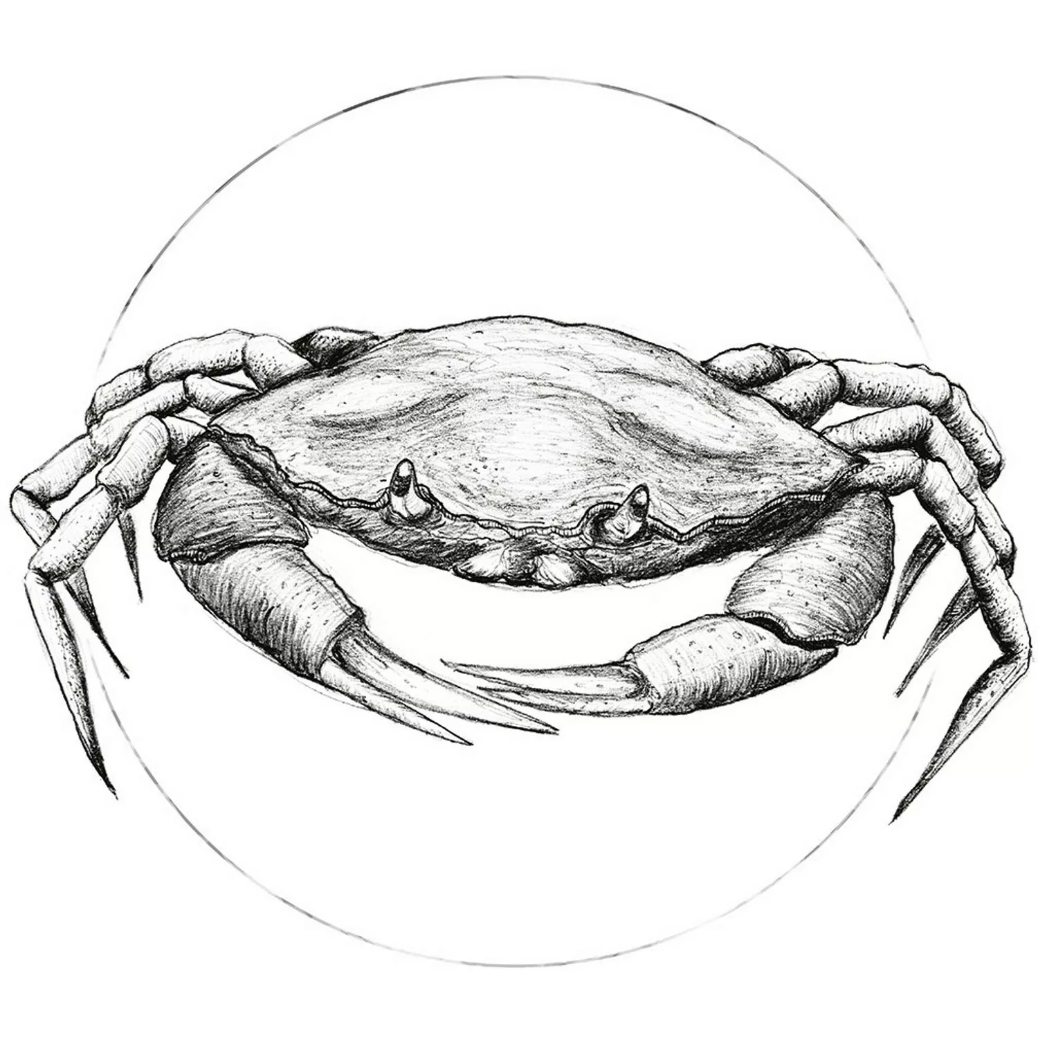 Komar Poster "Crab White", Tiere, (1 St.) günstig online kaufen