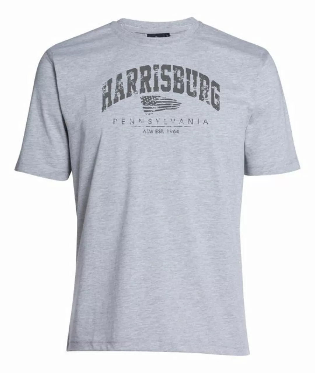 AHORN SPORTSWEAR T-Shirt HARRISBURG mit modischem Frontprint günstig online kaufen