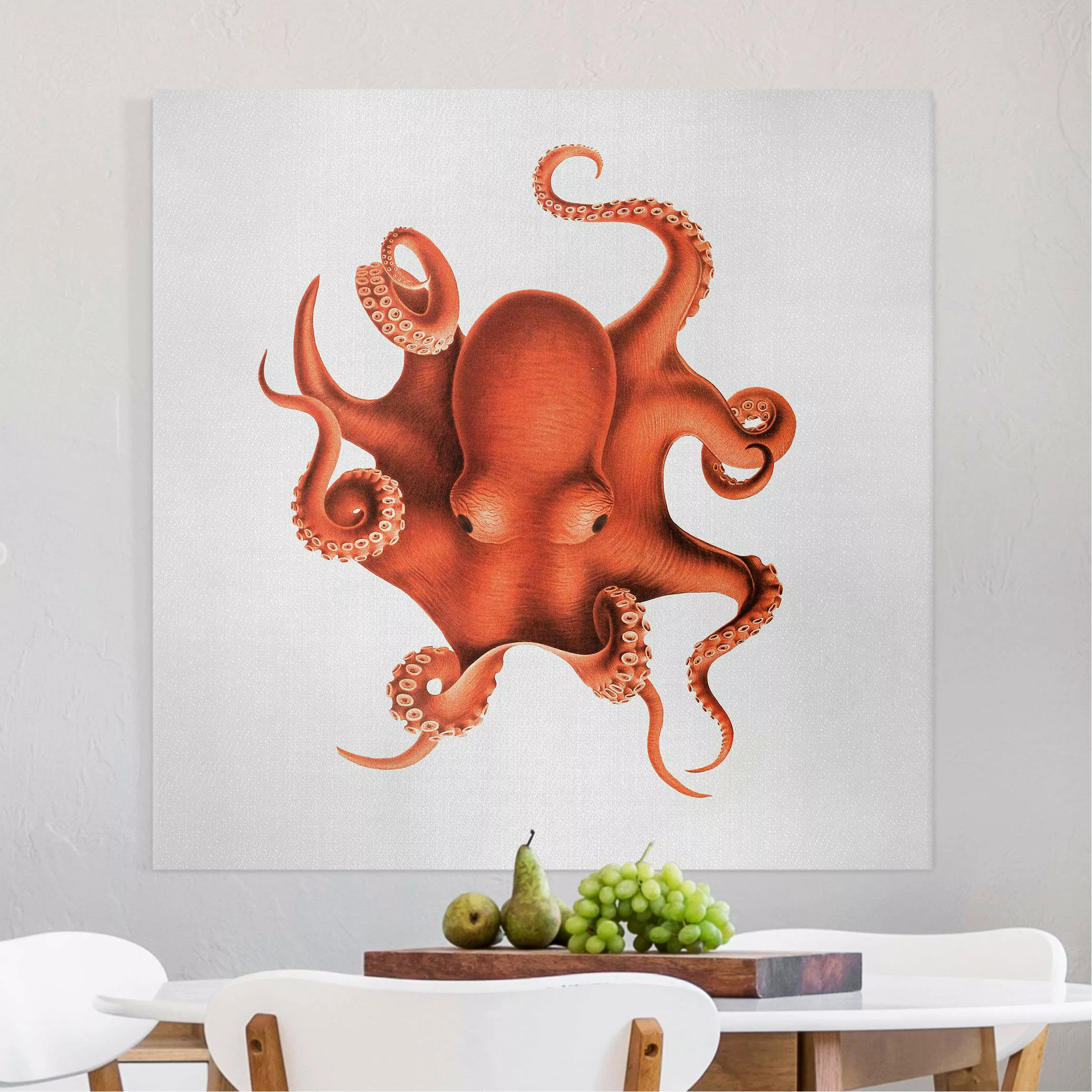 Leinwandbild Vintage Illustration Roter Oktopus günstig online kaufen