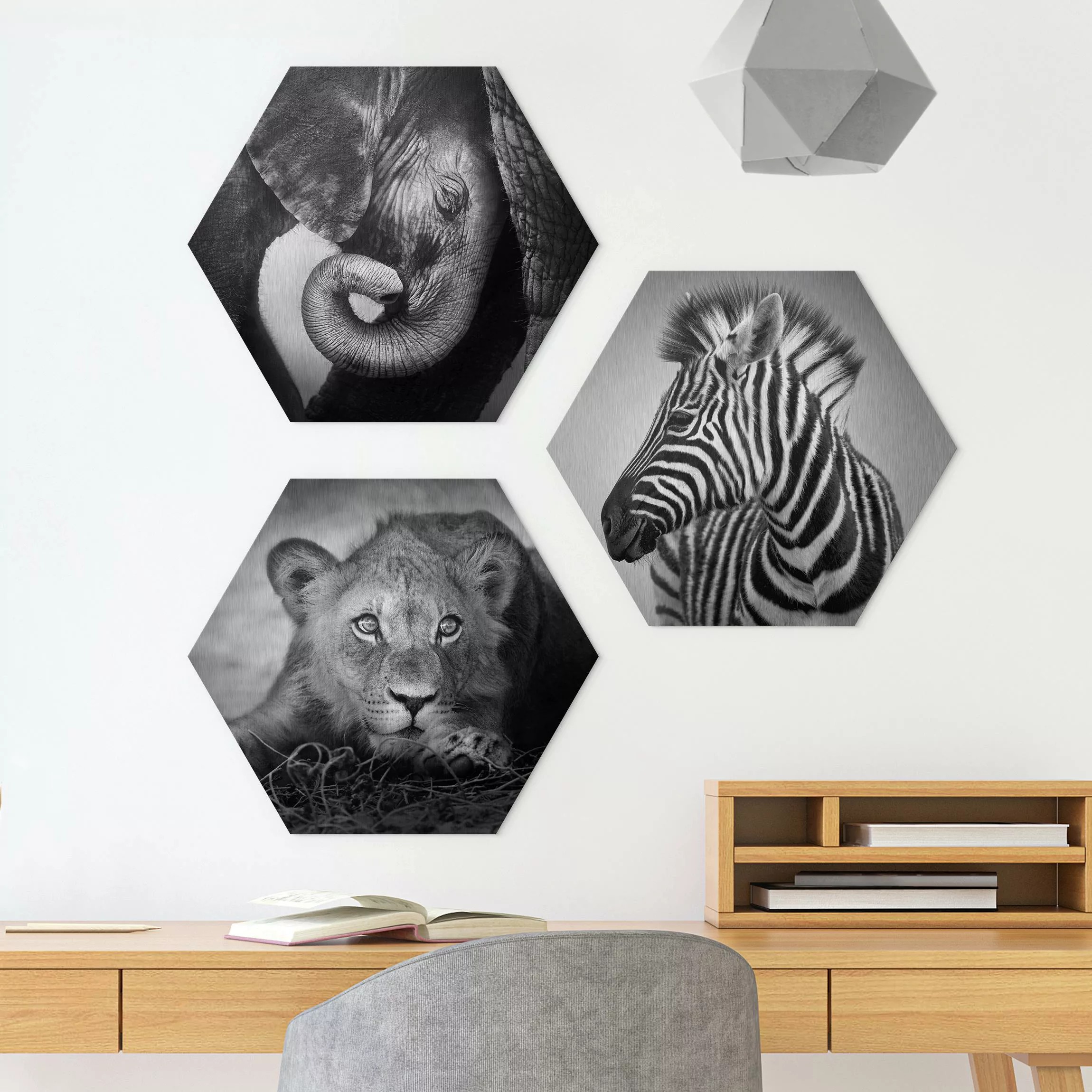3-teiliges Hexagon-Alu-Dibond Bild Babytiere günstig online kaufen