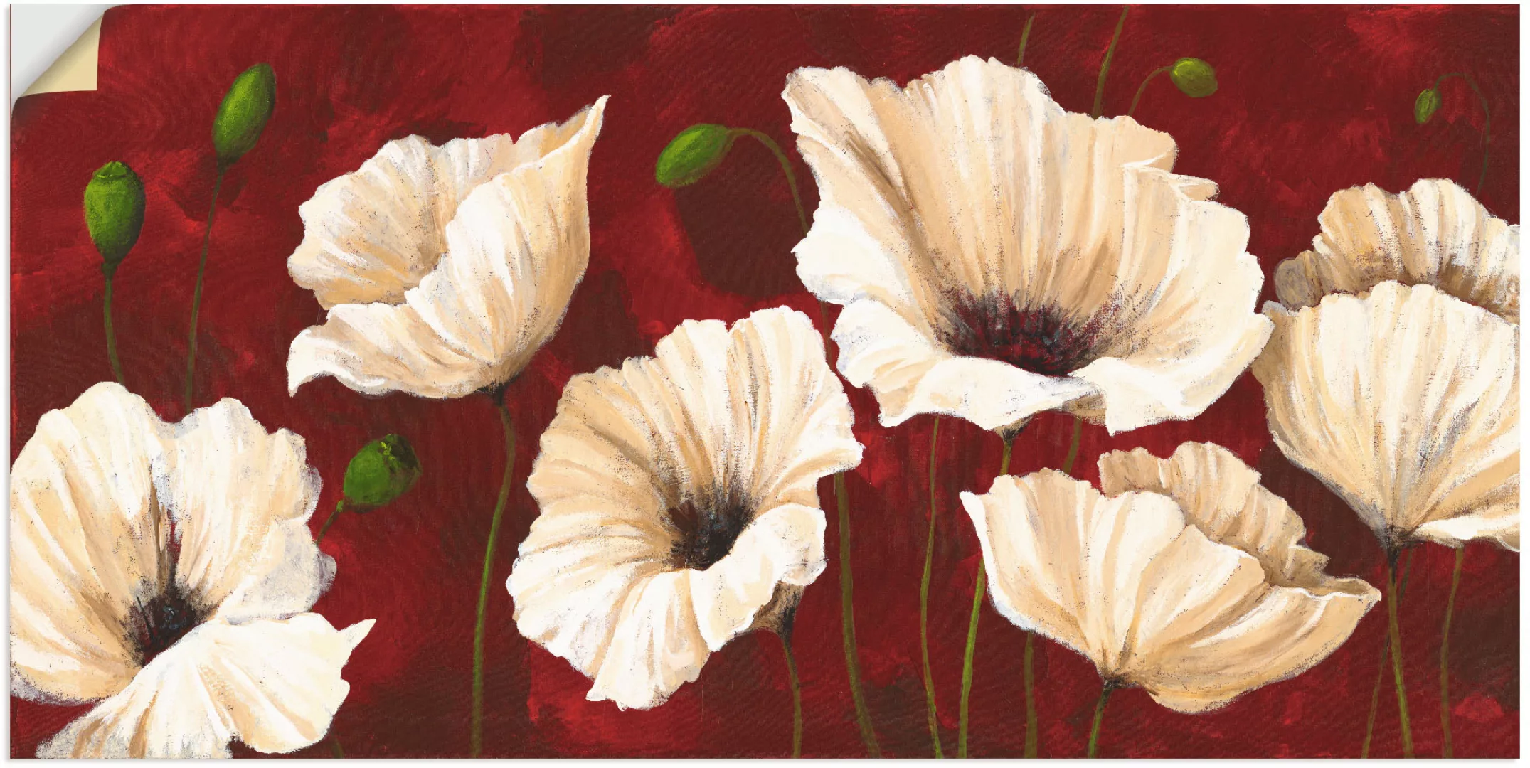 Artland Wandbild »Weiße Mohnblumen vor rot«, Blumen, (1 St.), als Alubild, günstig online kaufen