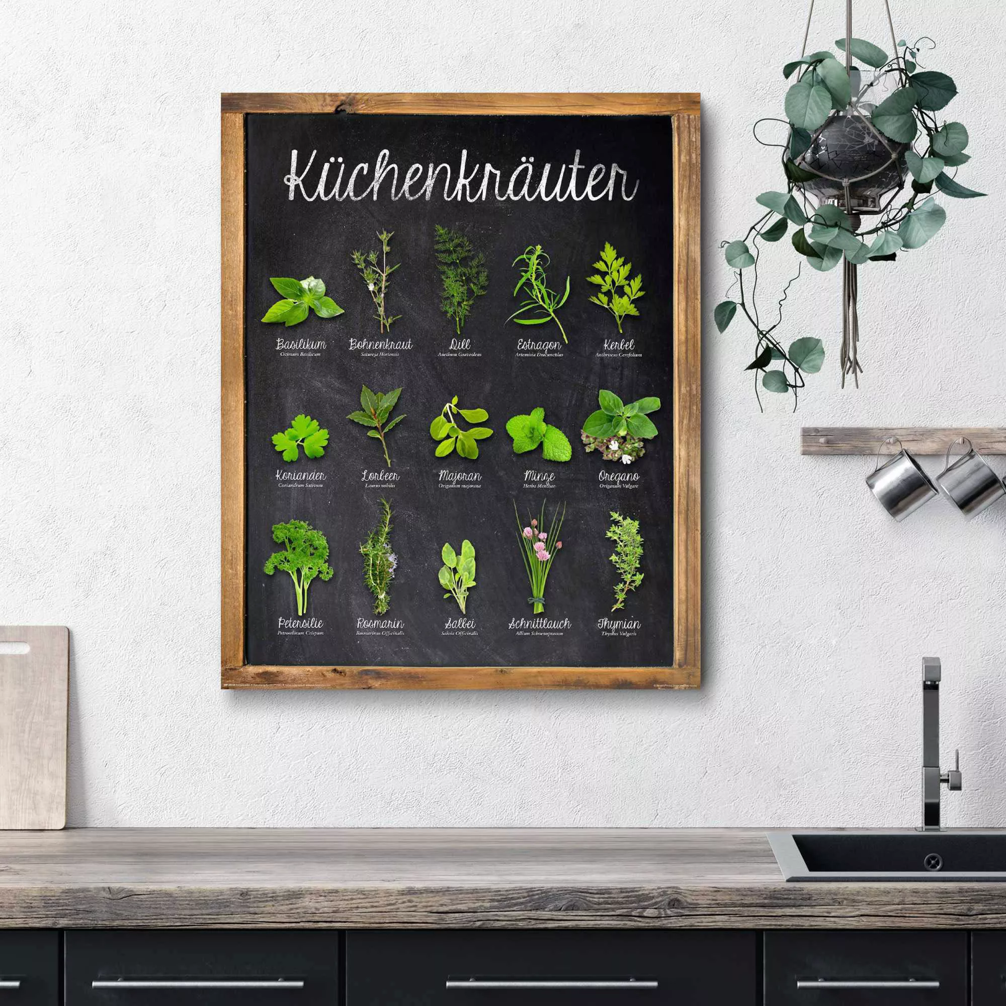 Home affaire Deco-Panel "Küchenkräuter", 40/50 cm günstig online kaufen