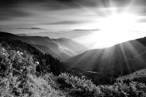 Papermoon Fototapete »Landschaft Schwarz & Weiß« günstig online kaufen