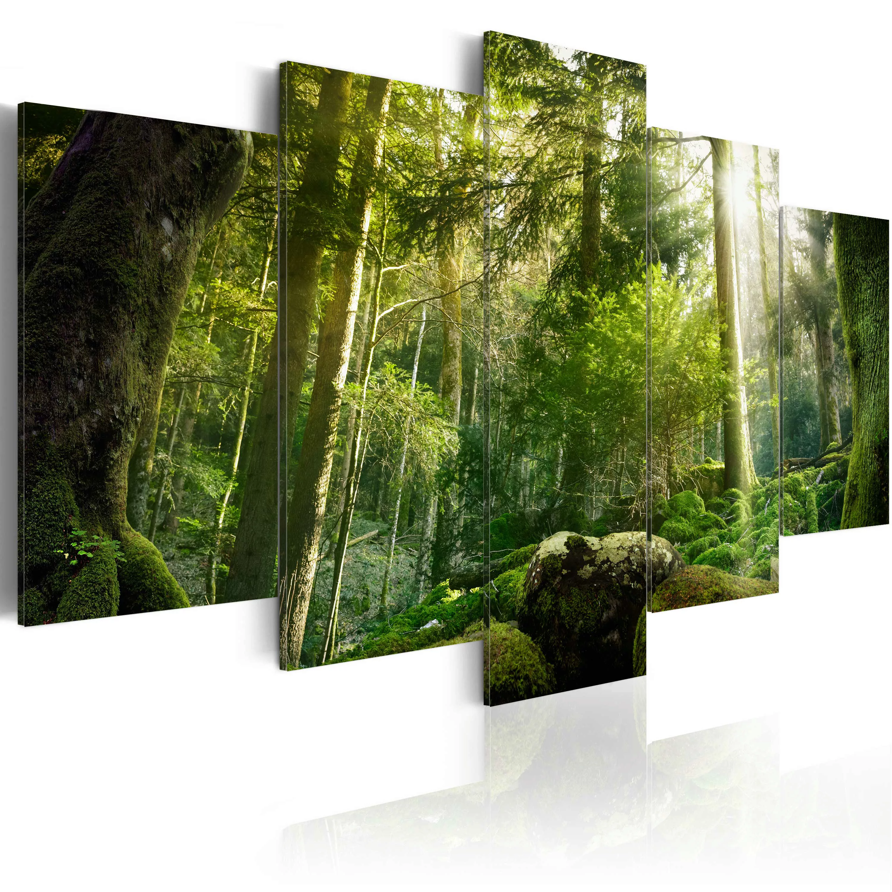 Wandbild -  The Beauty Of The Forest günstig online kaufen