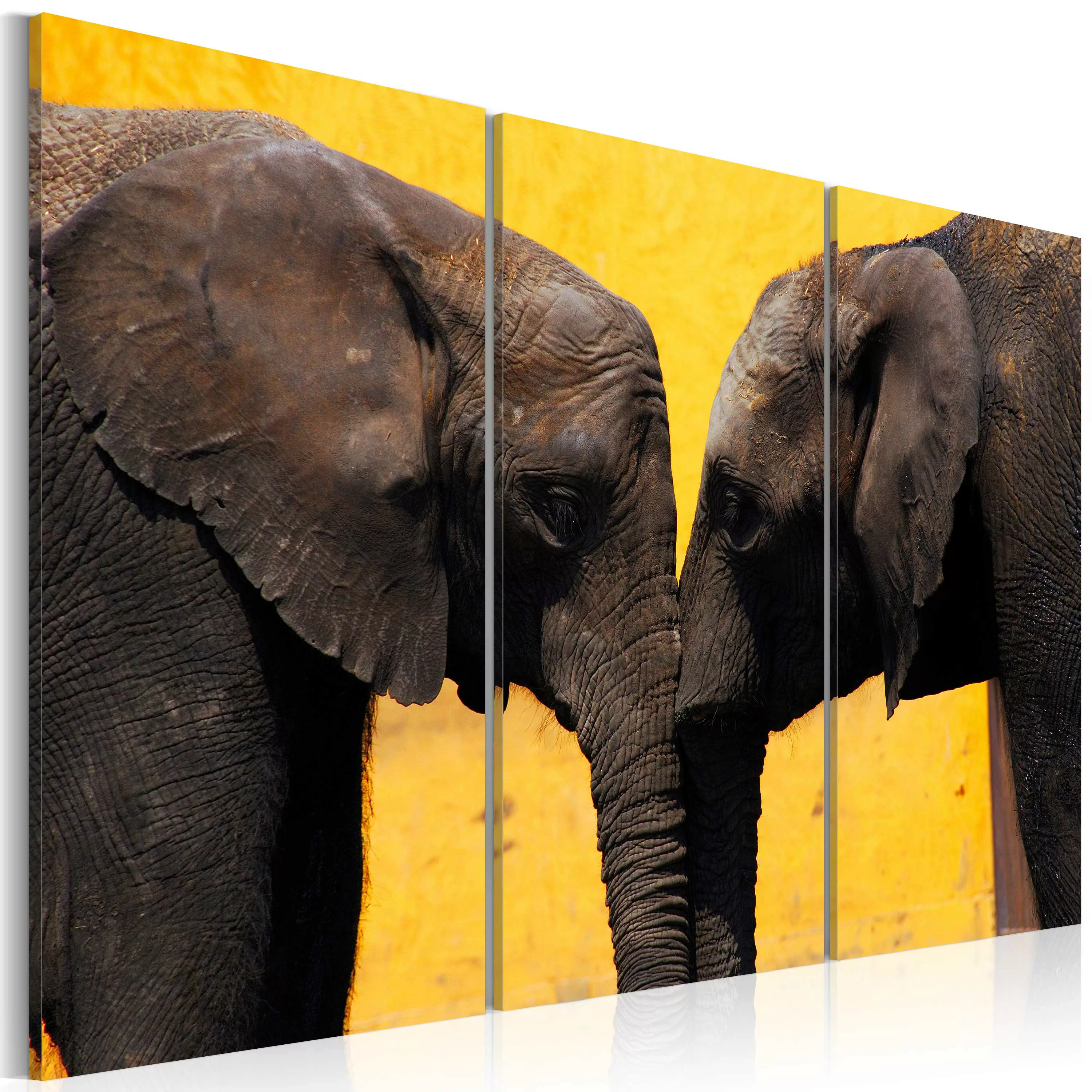 Wandbild - Elefantenliebe günstig online kaufen